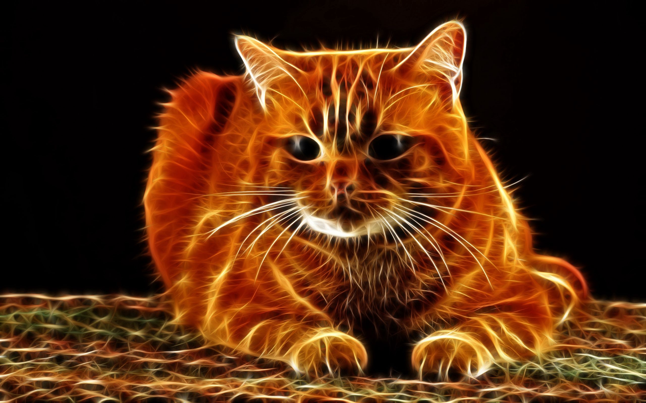 32k Wallpaper Thick abstract, muzzle, fat, cat