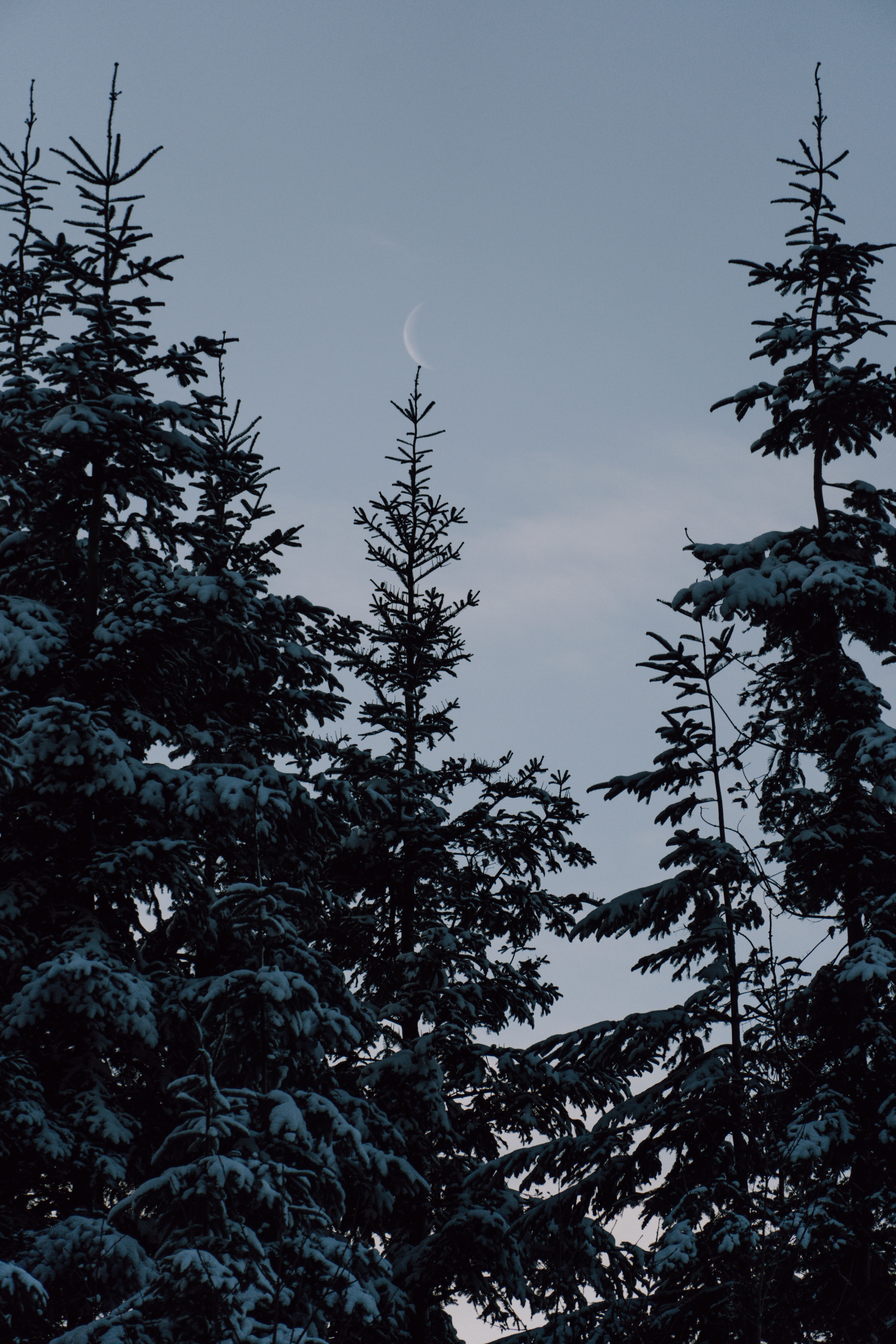 snow, nature, moon, winter New Lock Screen Backgrounds
