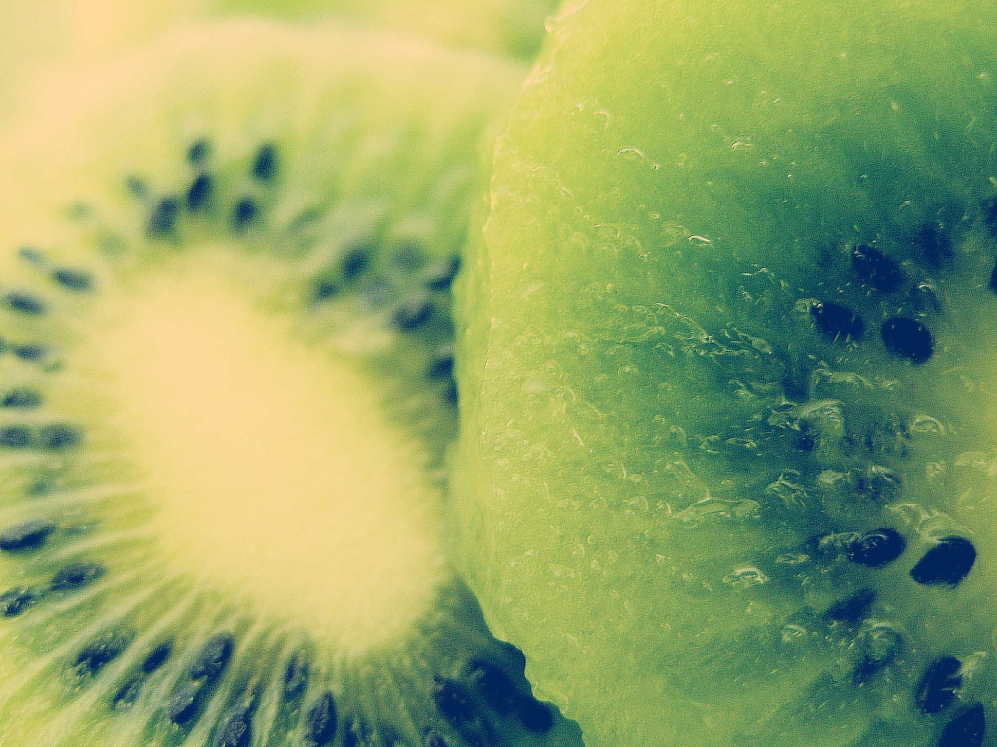 67582 Bild herunterladen kiwi, makro, die frucht, frucht, knochen, scheibe, abschnitt - Hintergrundbilder und Bildschirmschoner kostenlos