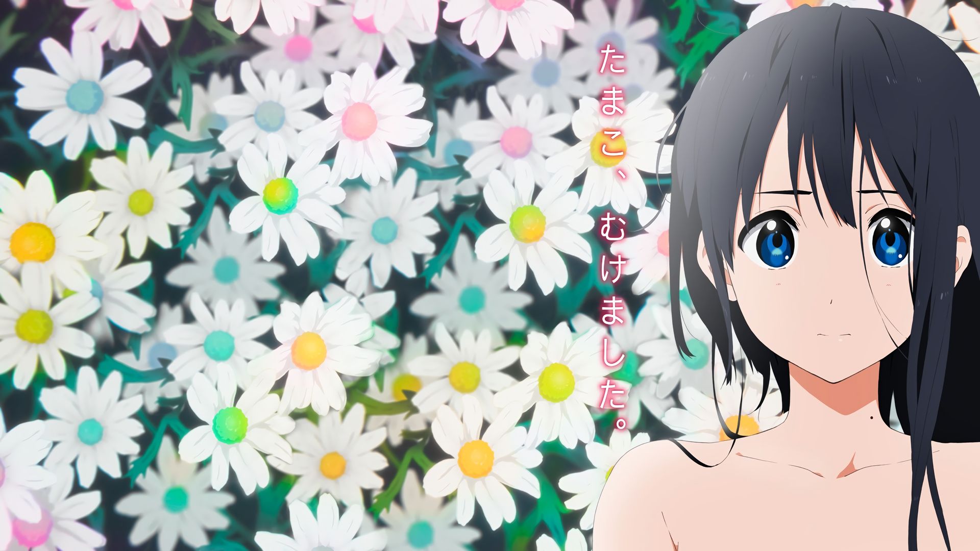 Papel de parede HD para desktop Anime Tamako Market Tamako Kitashirakawa baixar imagem grátis