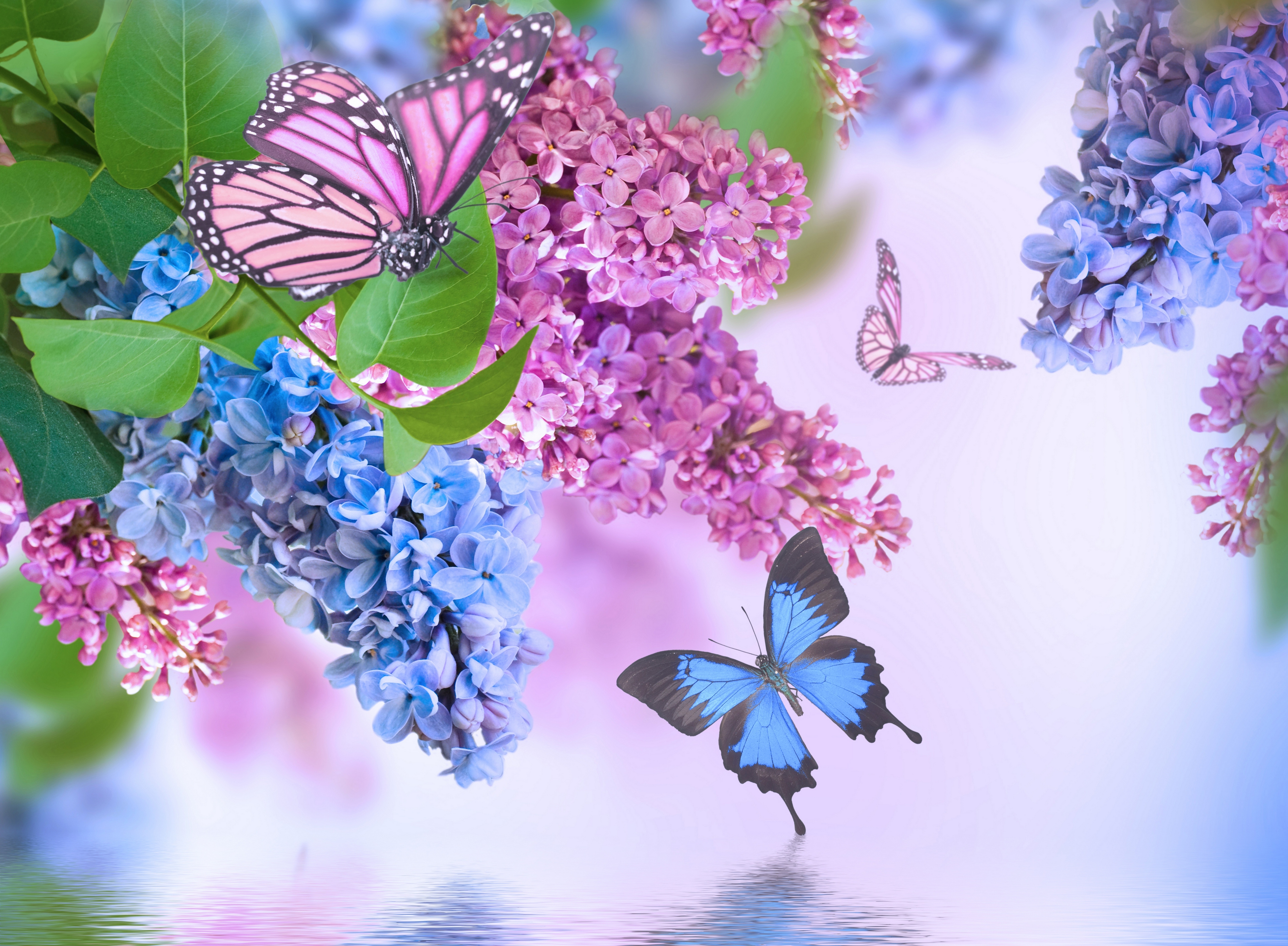 earth, flowers, flower, blue flower Widescreen Wallpaper