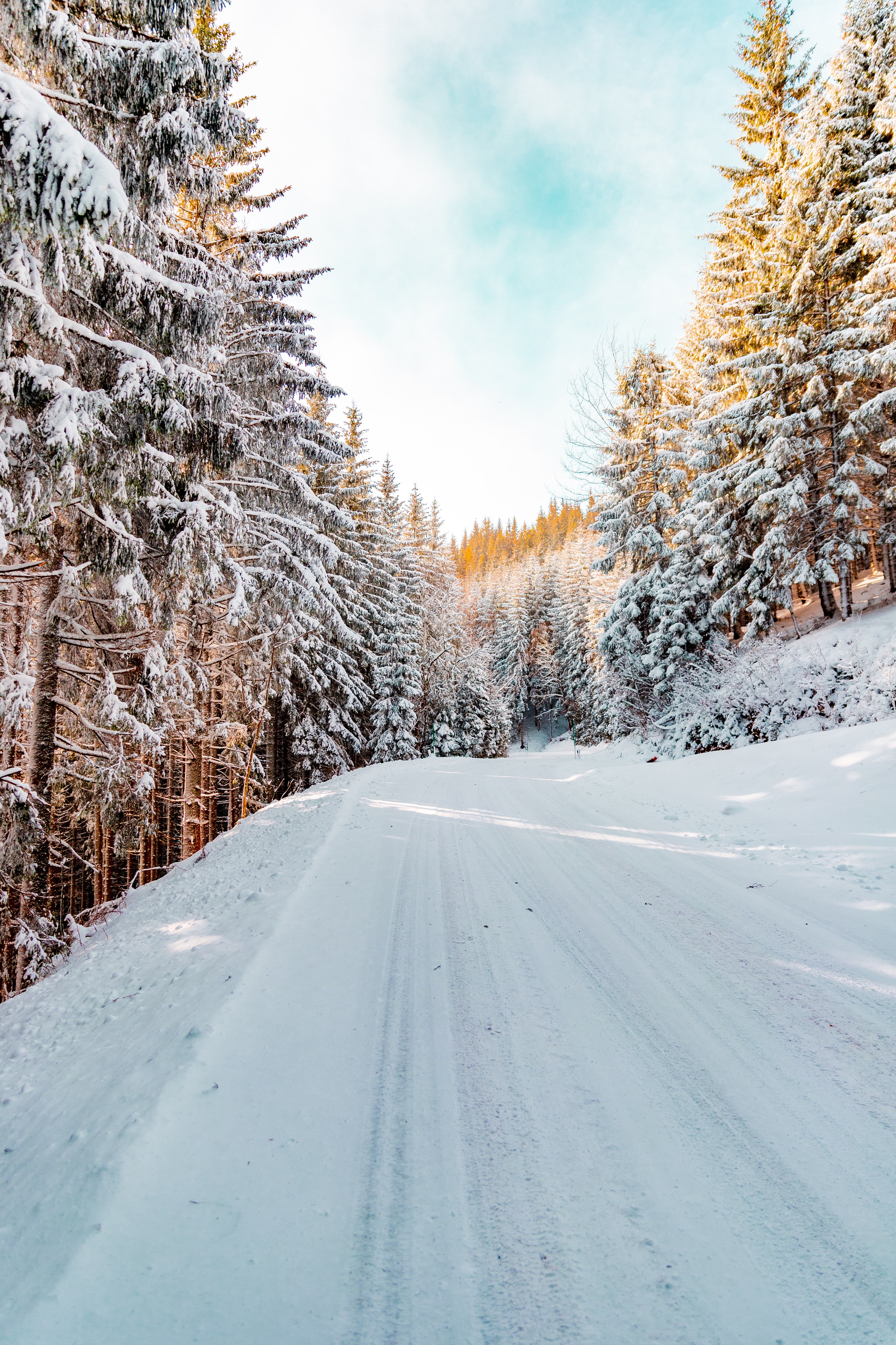 sky, winter landscape, winter, road, nature, snow, forest for android