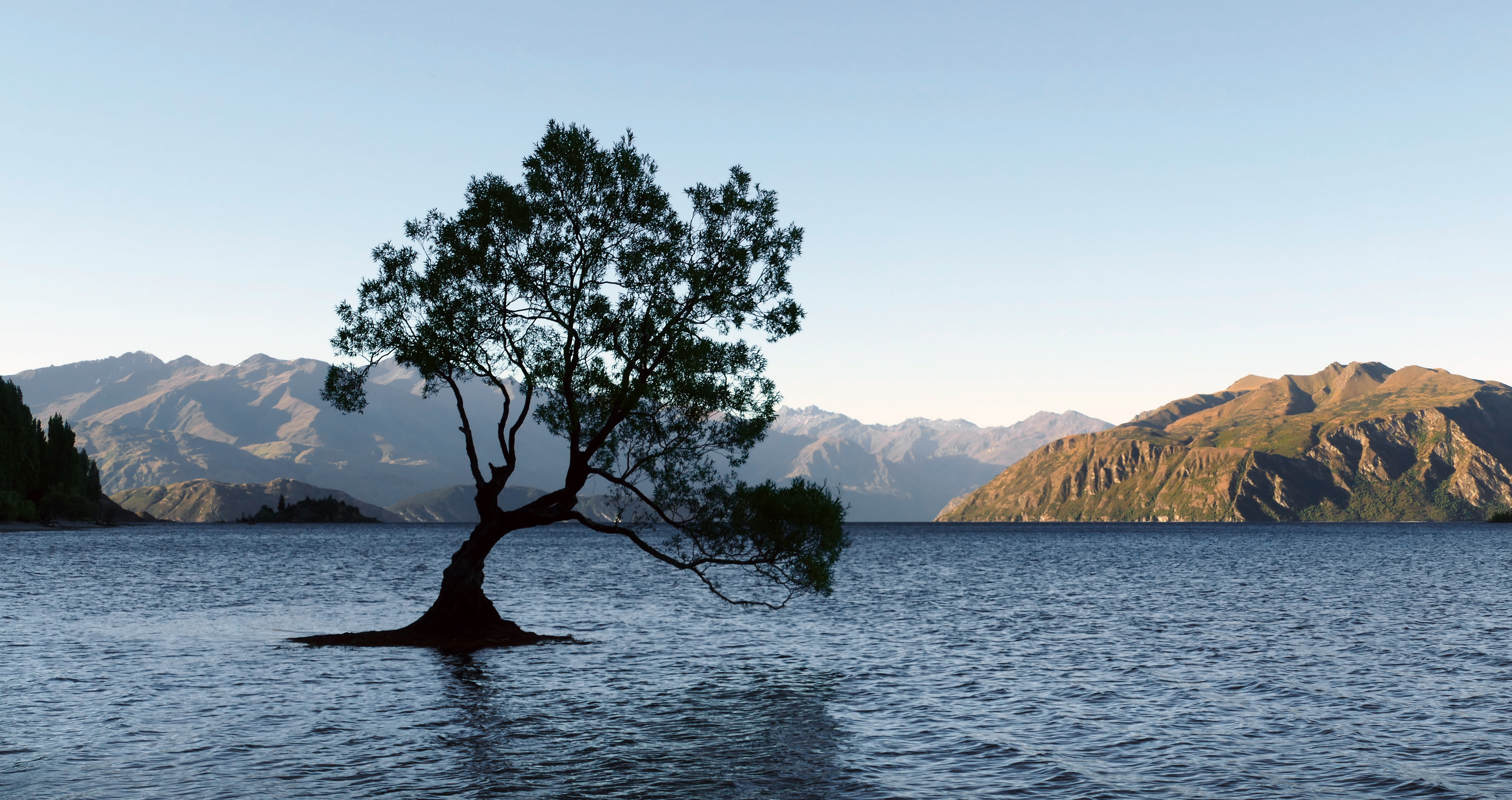earth, lake wānaka, lake, lonely tree, mountain, nature, new zealand, tree, lakes
