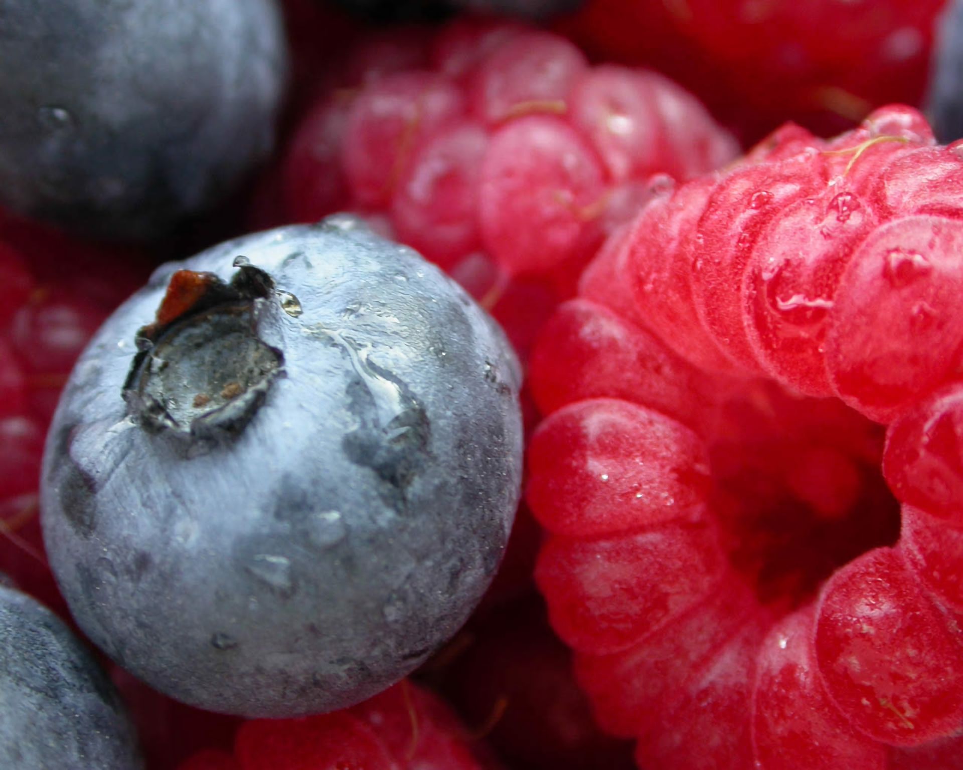 berry, food, blueberry, fruit, raspberry QHD