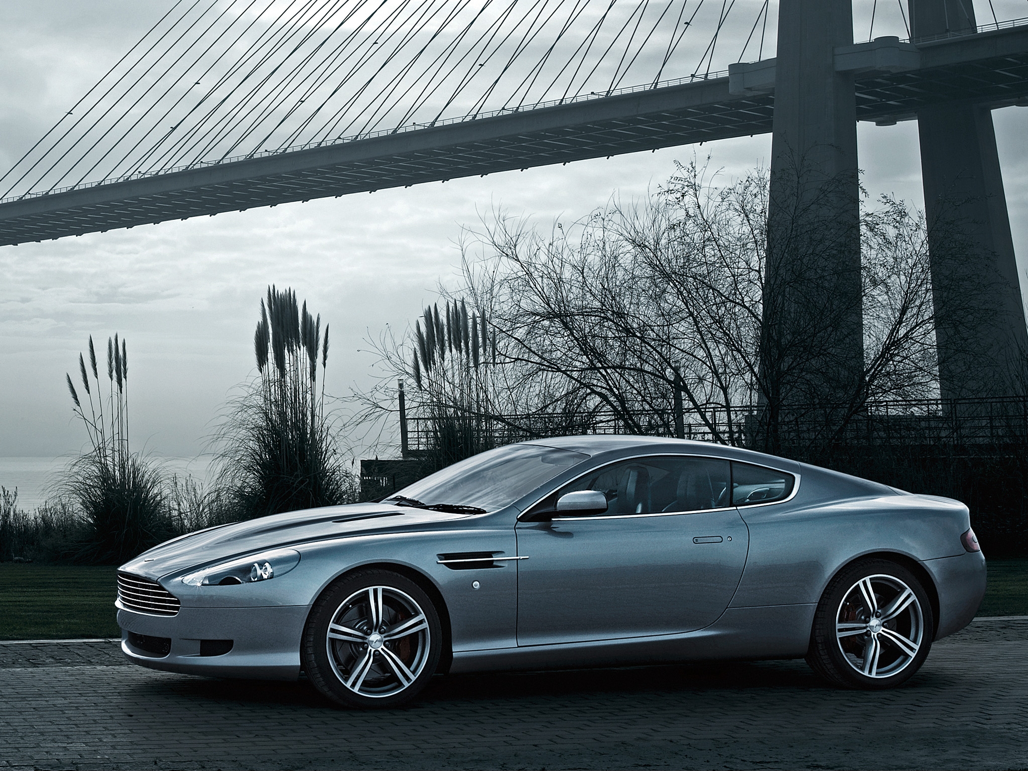 auto, nature, aston martin, cars, wood, tree, grey, side view, style, 2008, db9 cell phone wallpapers