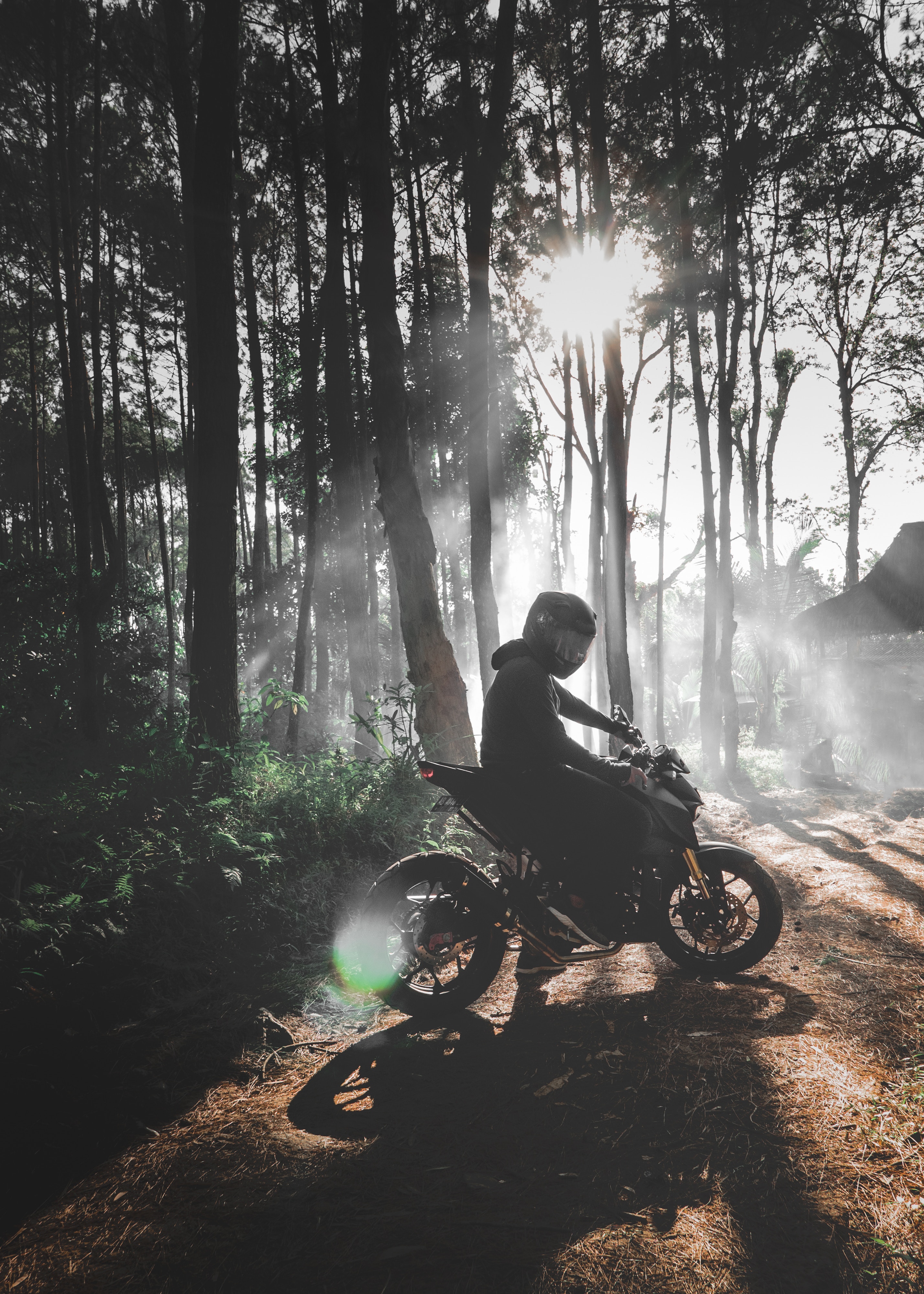 107447 Screensavers and Wallpapers Motorcyclist for phone. Download motorcyclist, motorcycles, forest, fog, motorcycle, bike pictures for free