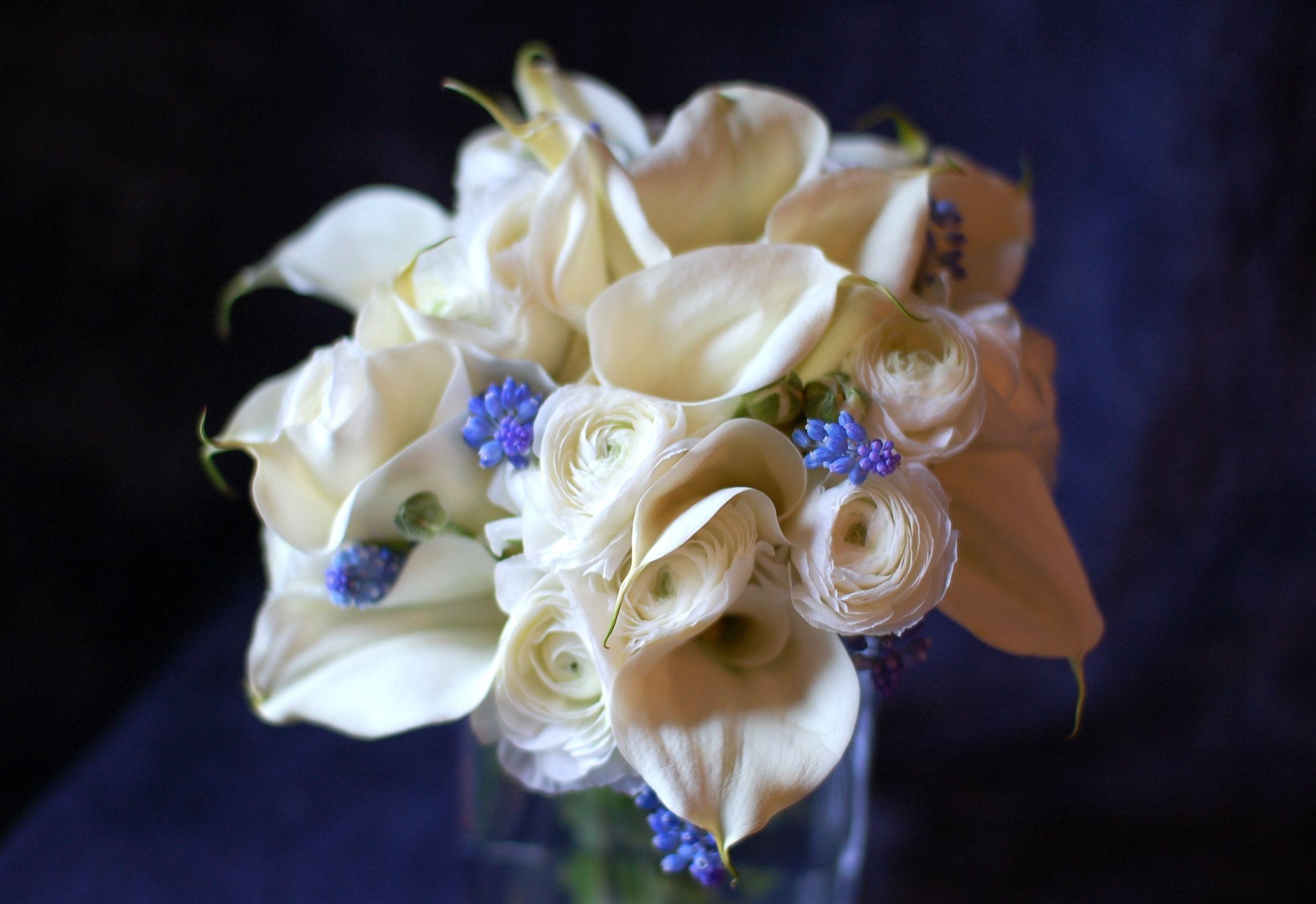 Combination muscari, bouquet, flowers, callas Free Stock Photos