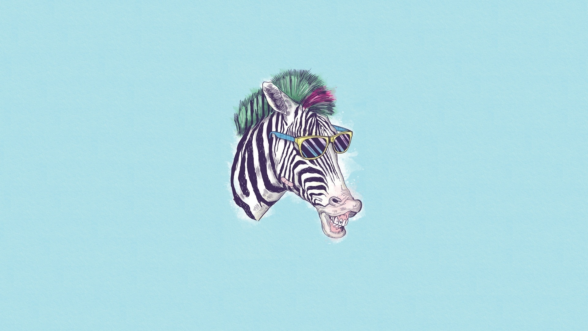 Mobile wallpaper: Animals, Zebra, Background, Funny, 21121 download the  picture for free.