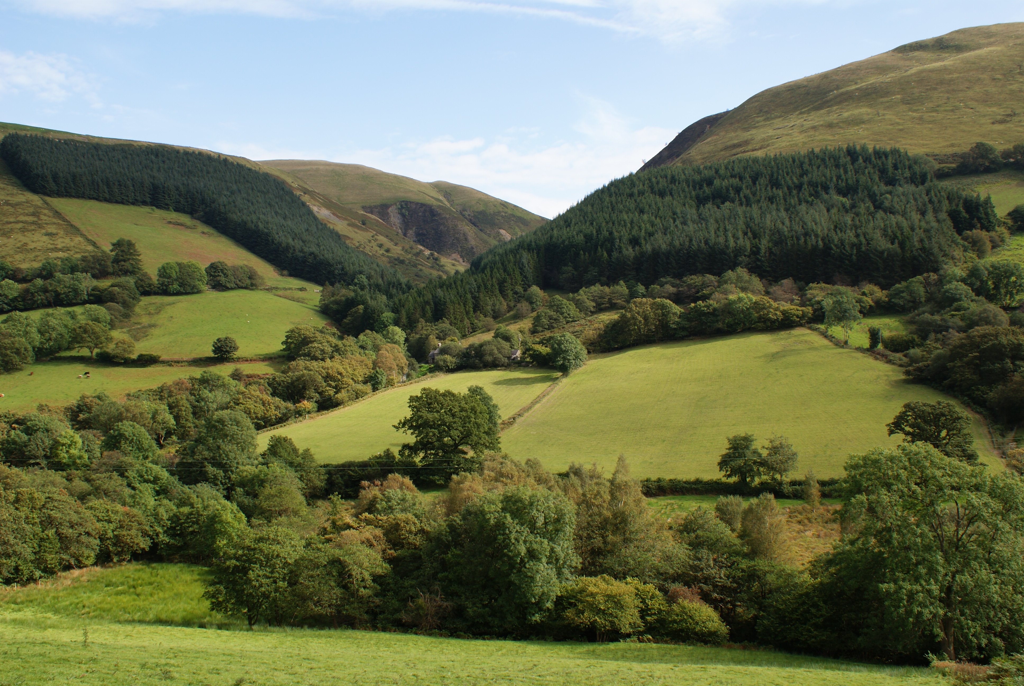 nature, britannia, hill, landscape Vertical Wallpapers