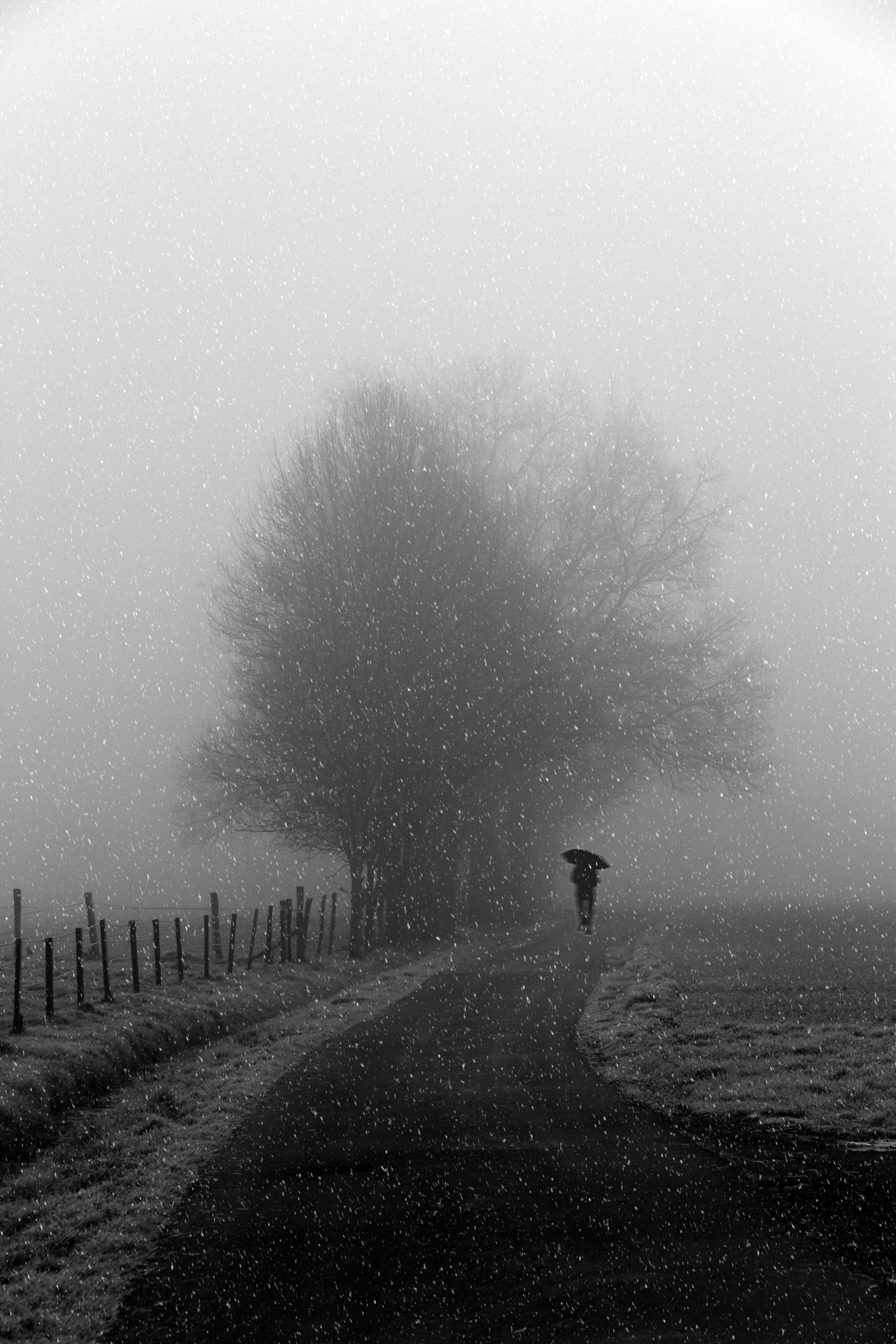 snowfall, silhouette, bw, path home screen for smartphone