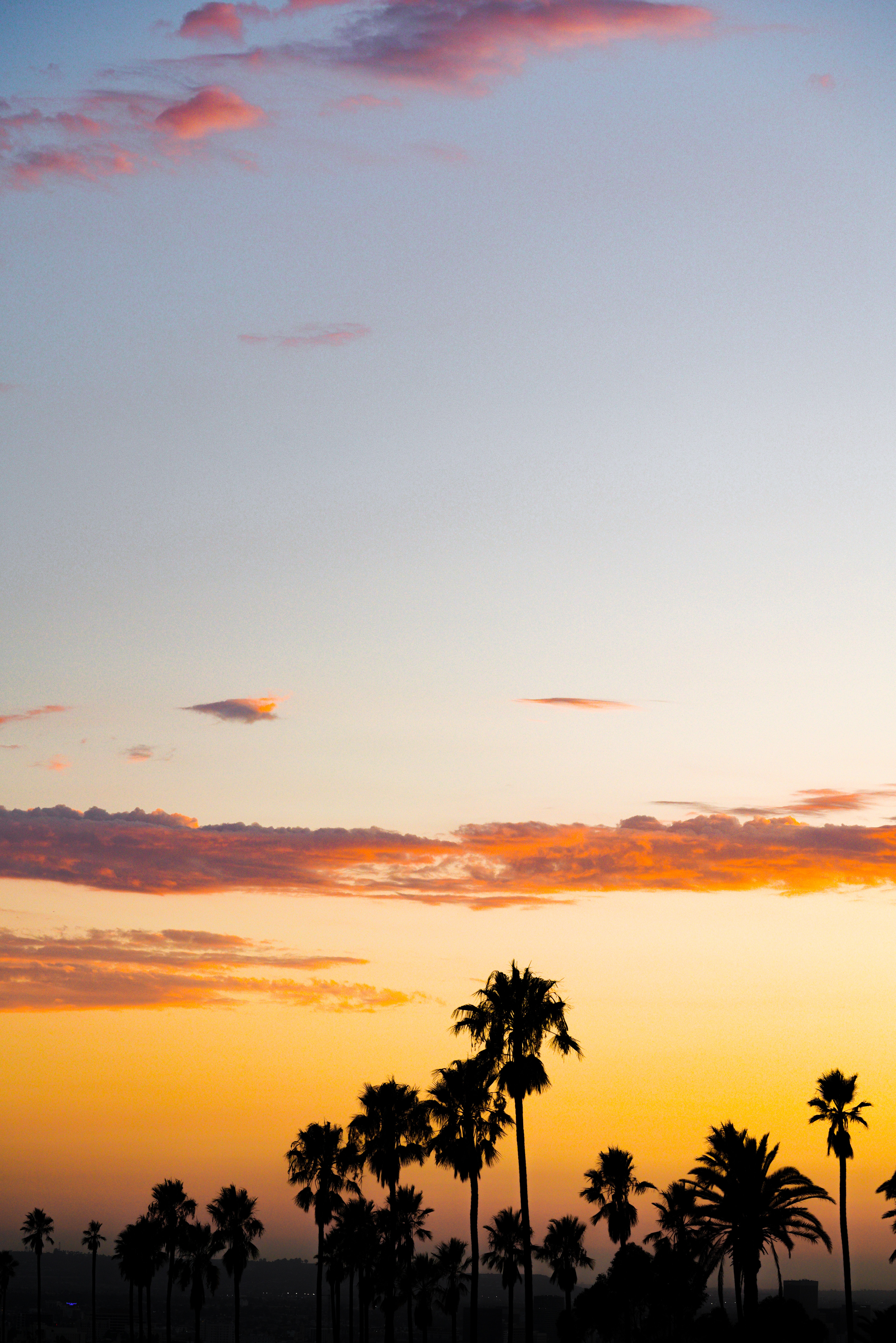 clouds, nature, sunset, twilight, palms, dark, dusk download HD wallpaper