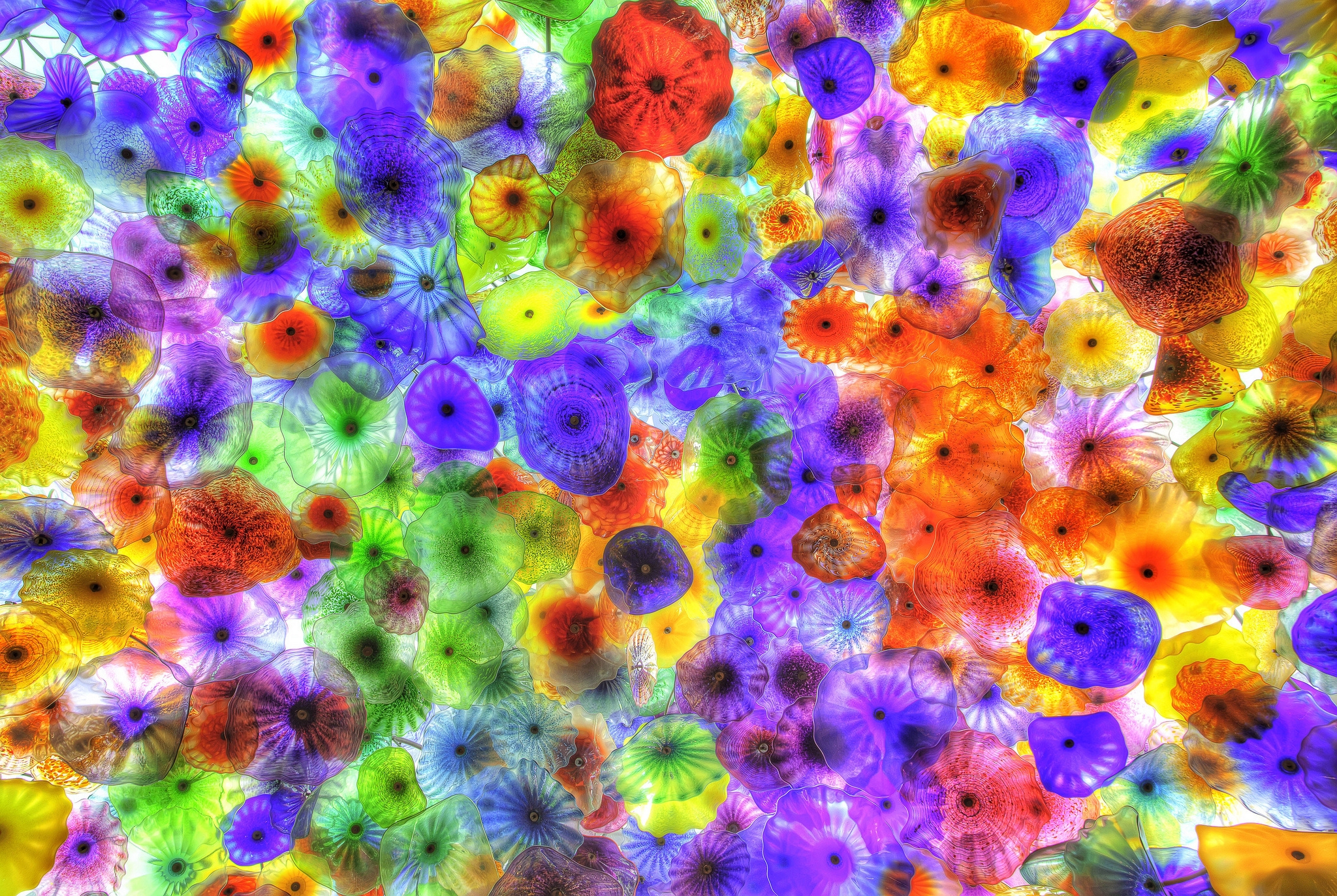 135408 Hintergrundbilder und Jellyfish Bilder auf dem Desktop. Laden Sie bunten, mehrfarbig, abstrakt, hintergrund Bildschirmschoner kostenlos auf den PC herunter