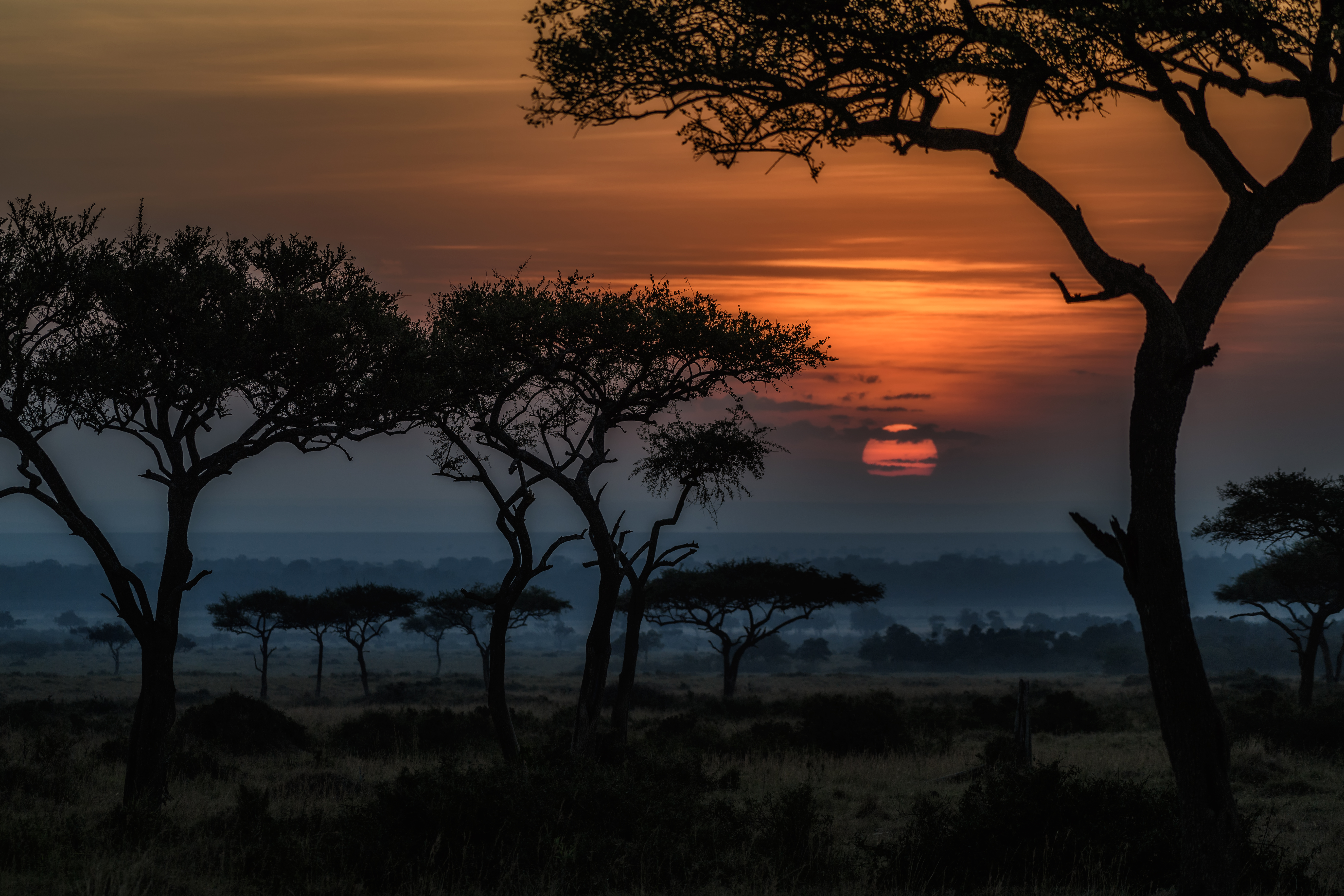 32k Wallpaper Dawn africa, kenia, savannah, earth