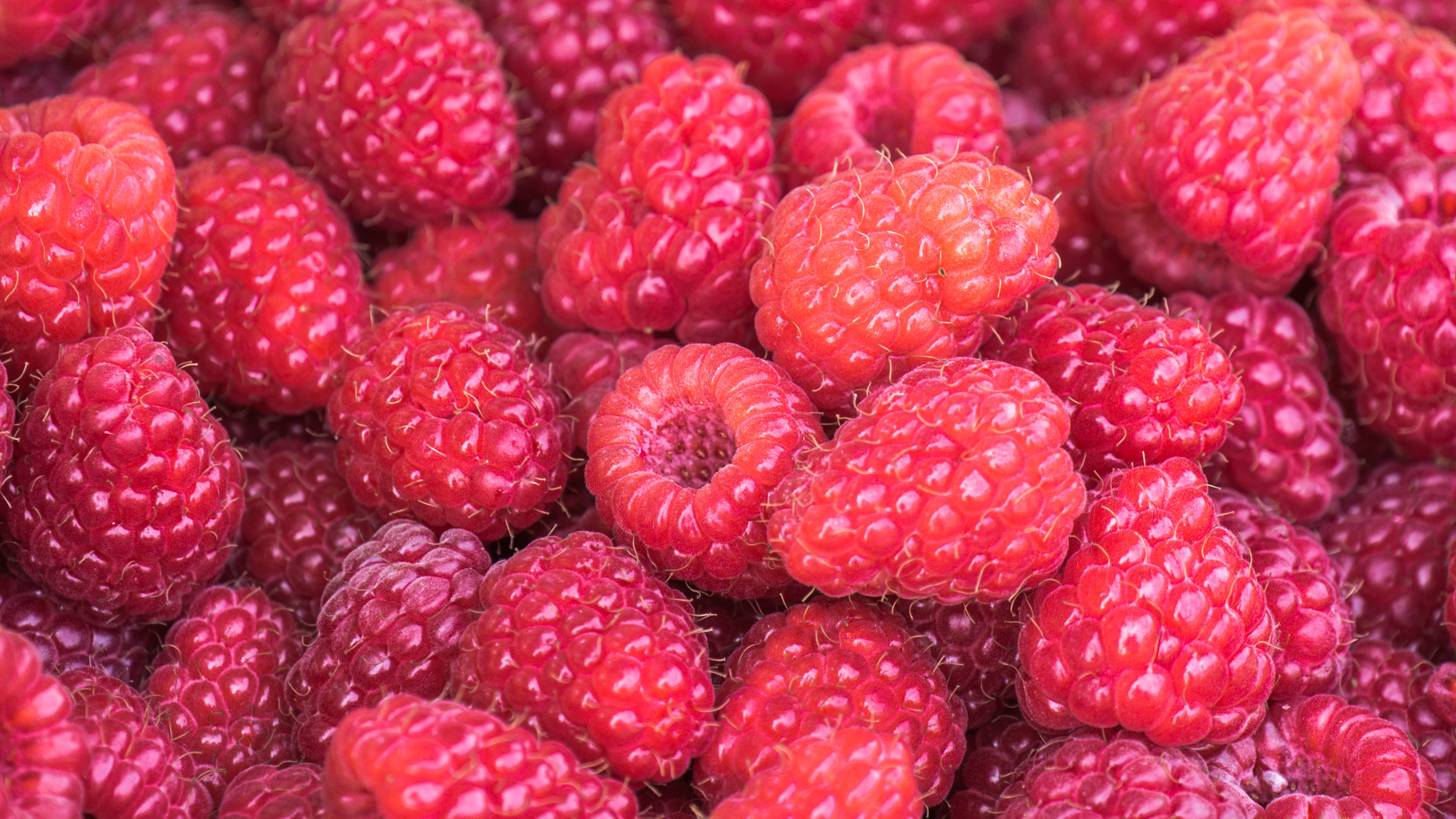 ripe, food, summer, raspberry, berries, vitamins HD wallpaper