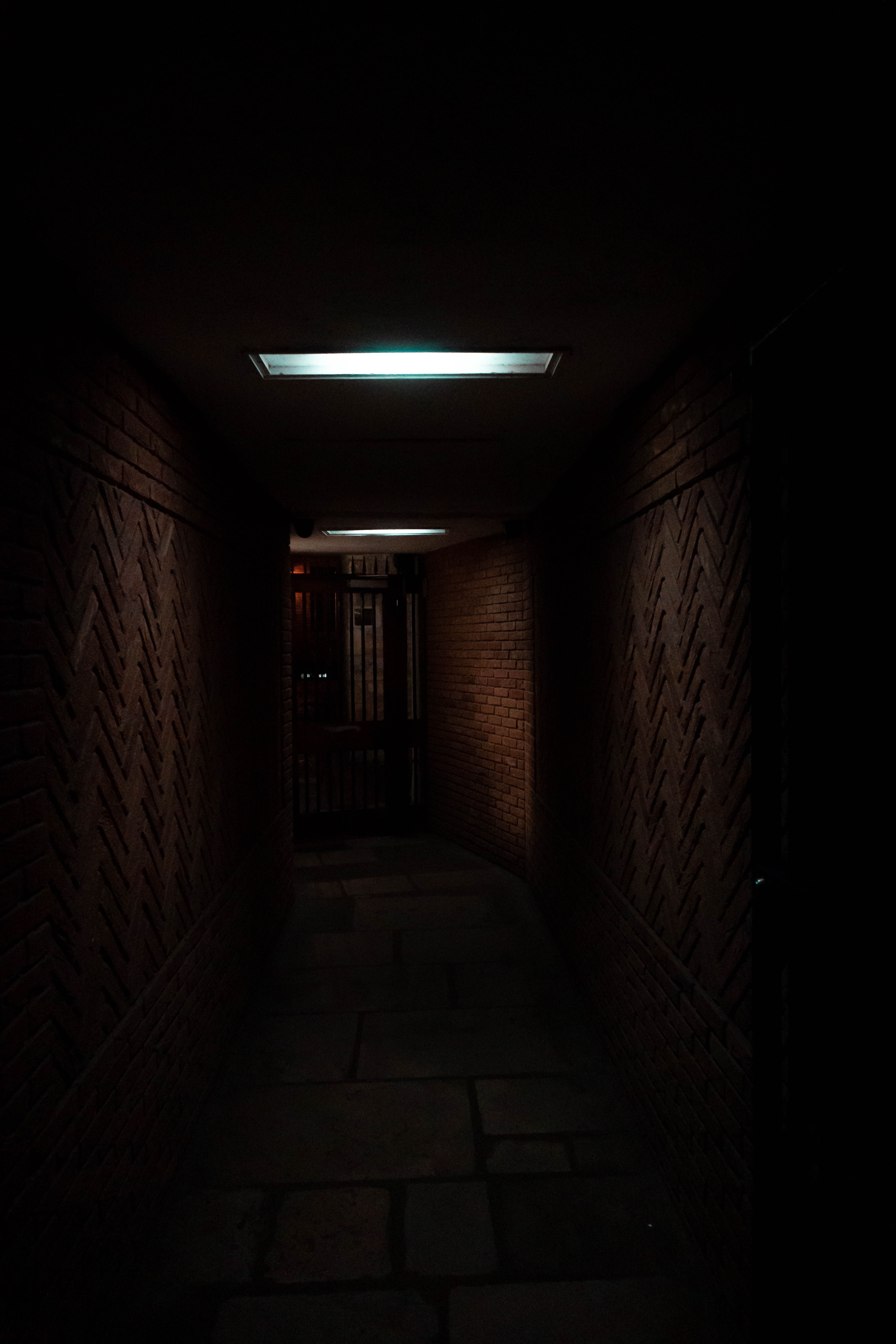 darkness, corridor, dark