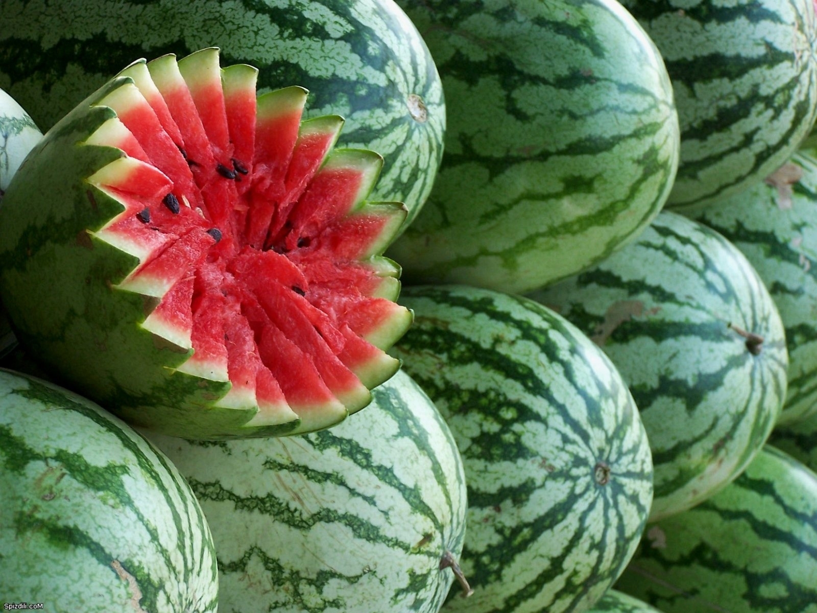 Die besten Wassermelonen-Hintergründe für den Telefonbildschirm