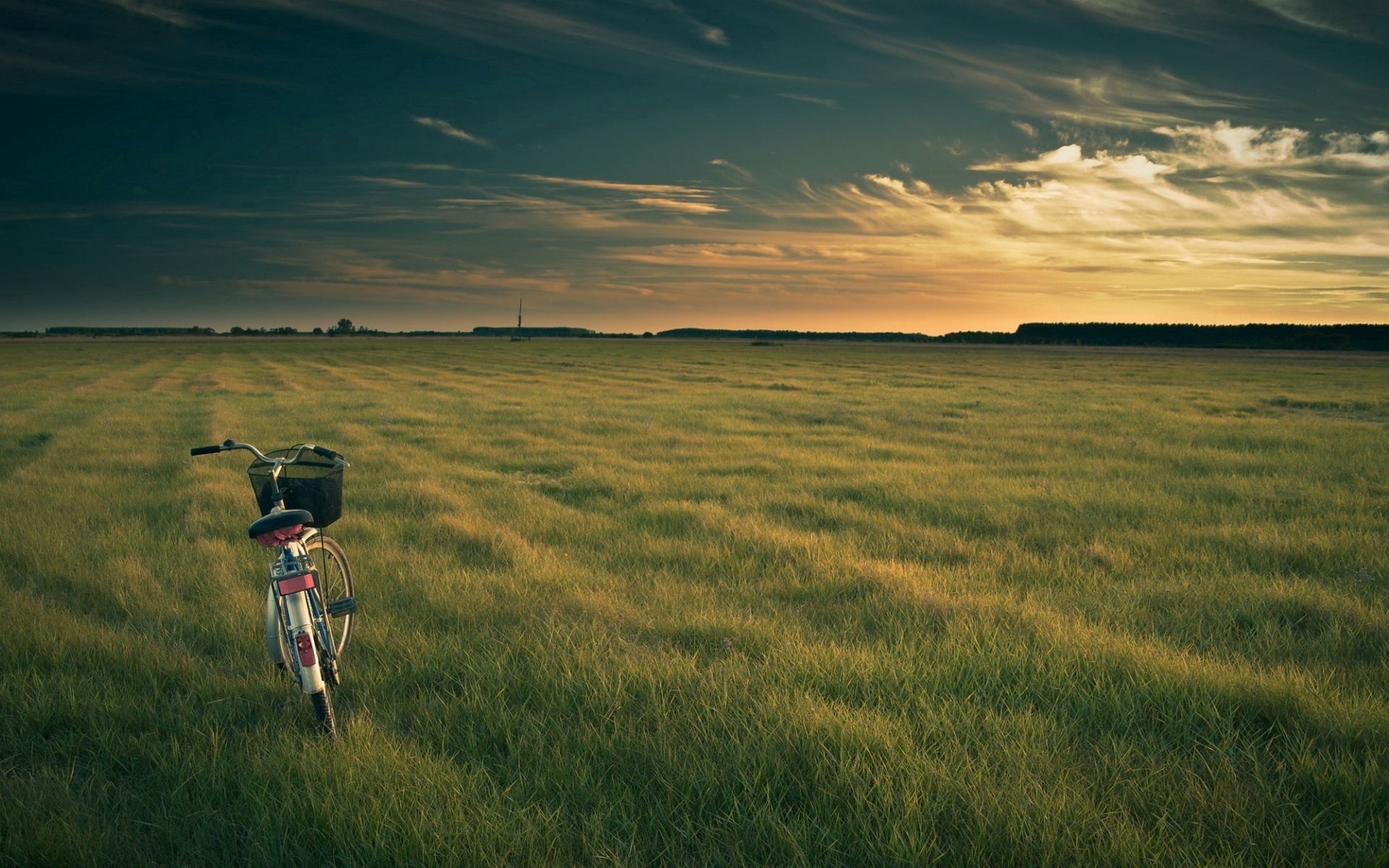 evening, nature, grass, field, bicycle HD wallpaper