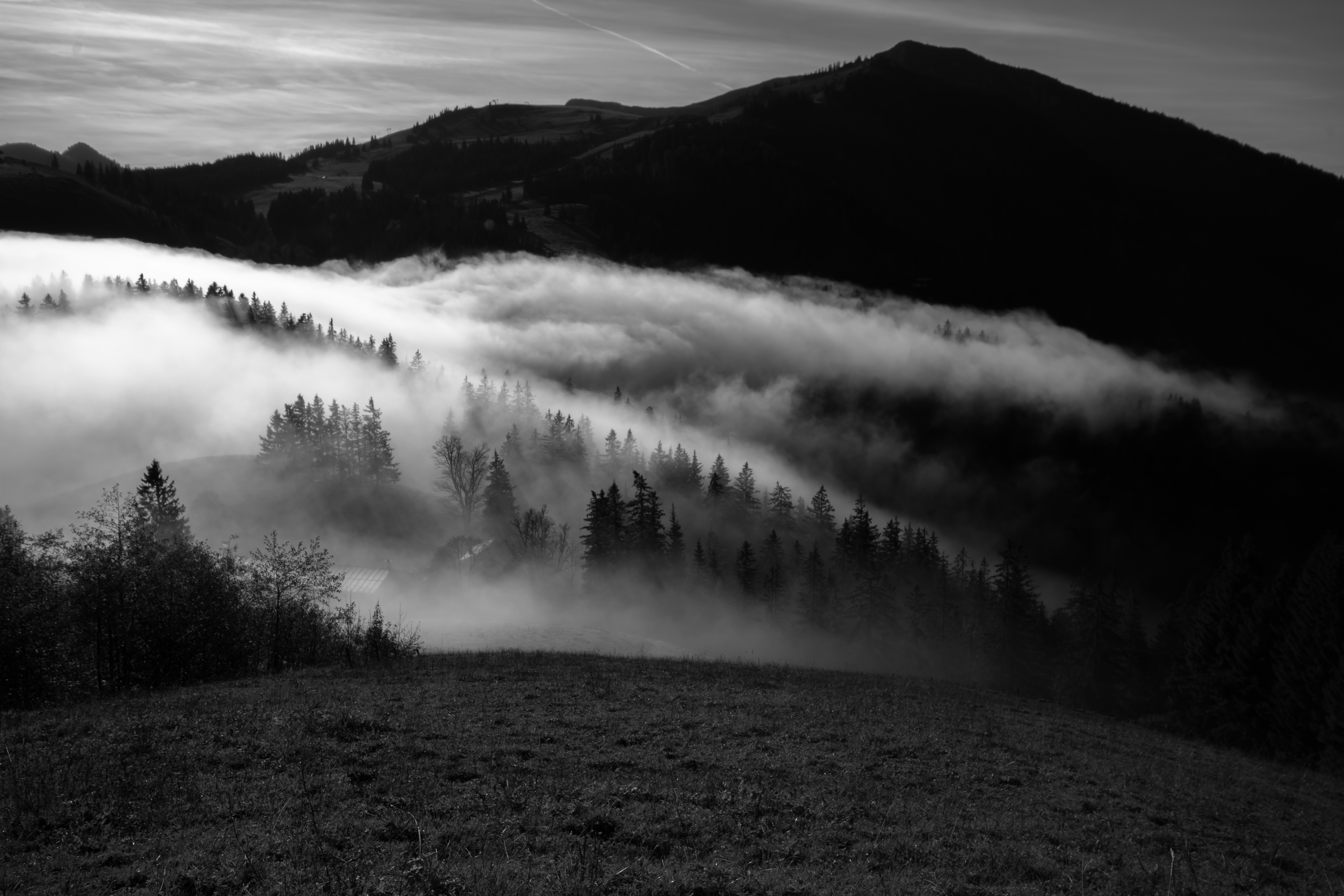 bw, nature, trees, mountain, fog, hills, chb 32K