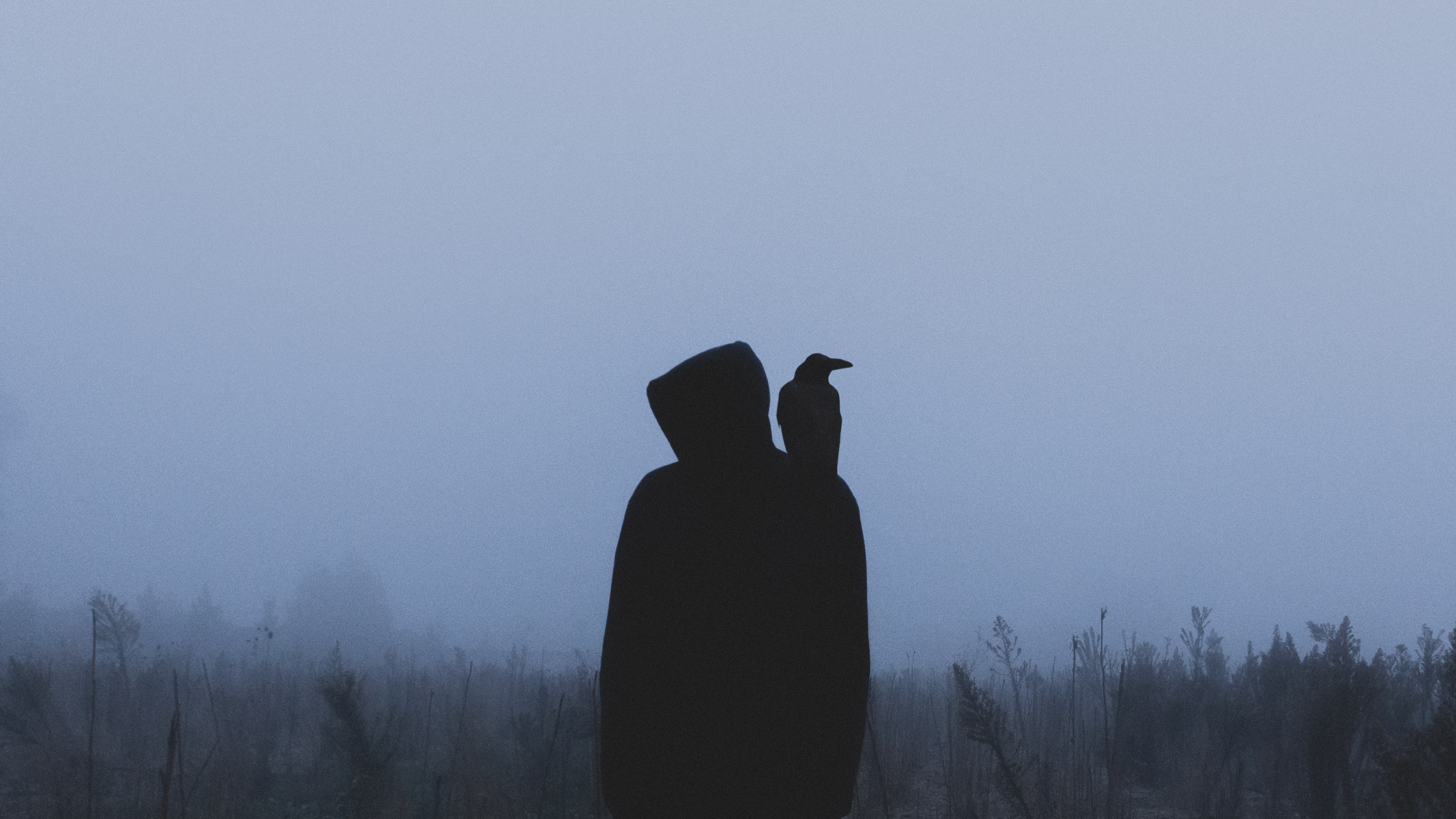 fog, hood, loneliness, raven, silhouette, miscellanea, miscellaneous 1080p