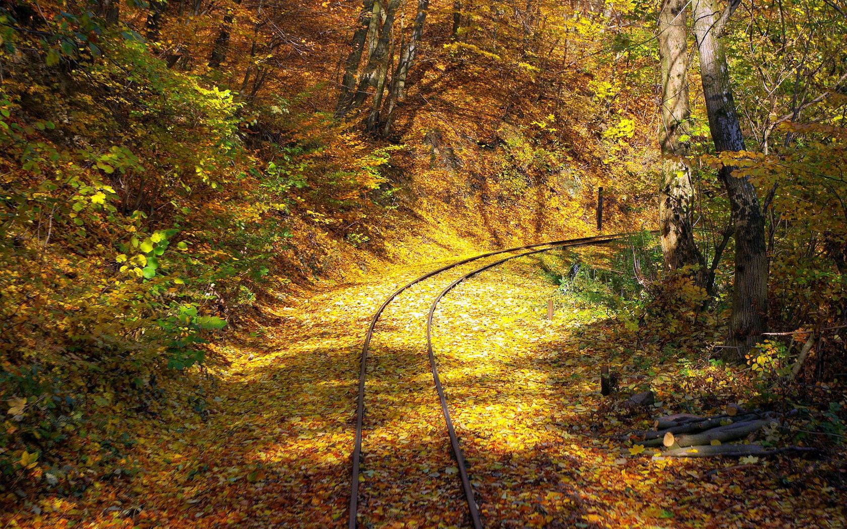 fall, rails, nature, turn, forest, leaf fall, railway Full HD