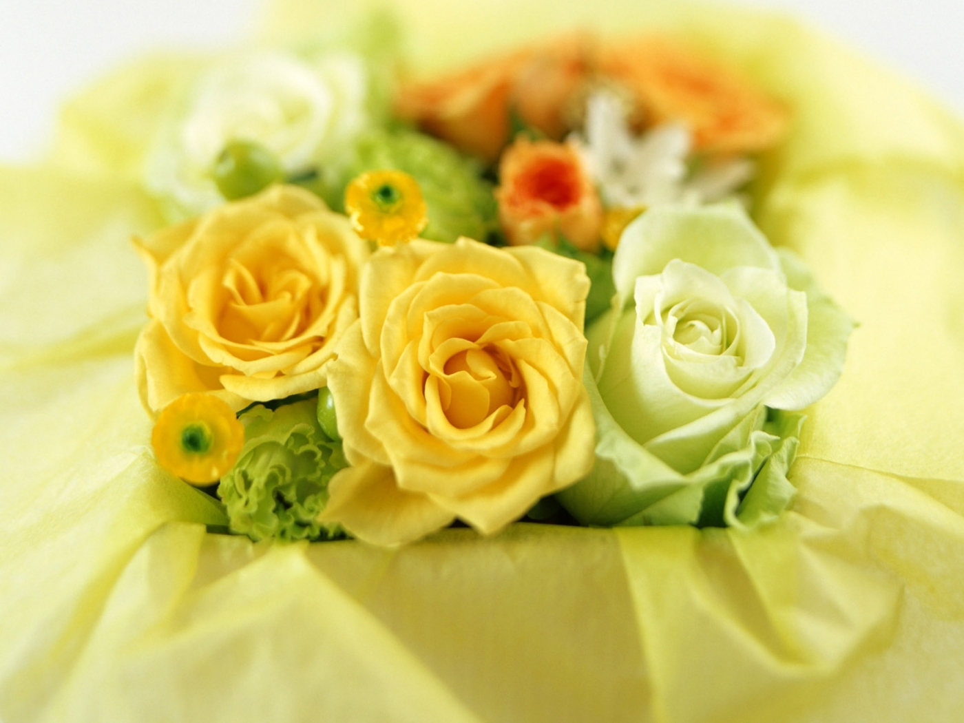 Phone Wallpaper (No watermarks) yellow, flowers, plants, roses