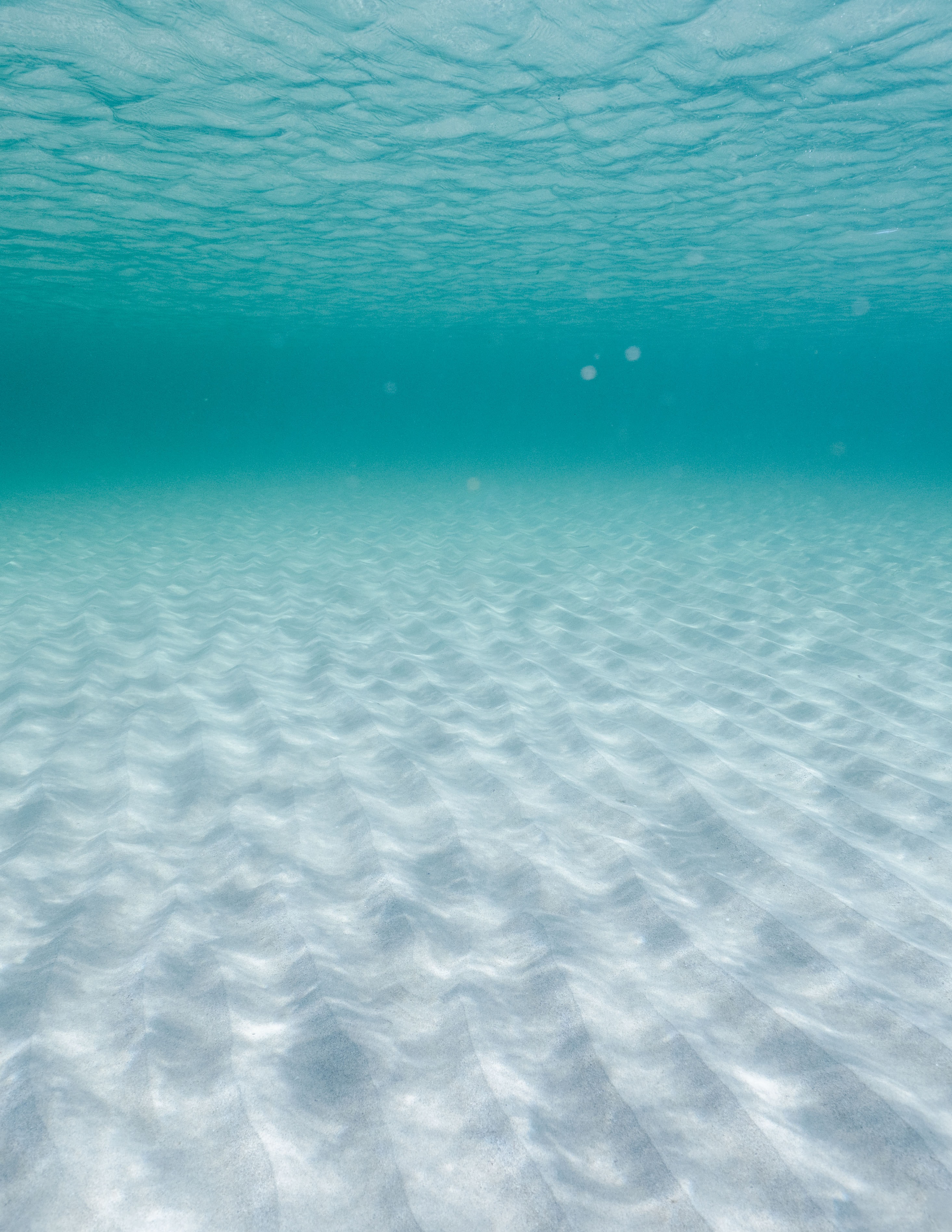 141128 Screensavers and Wallpapers Underwater for phone. Download nature, sand, ripples, ripple, depth, under water, underwater pictures for free