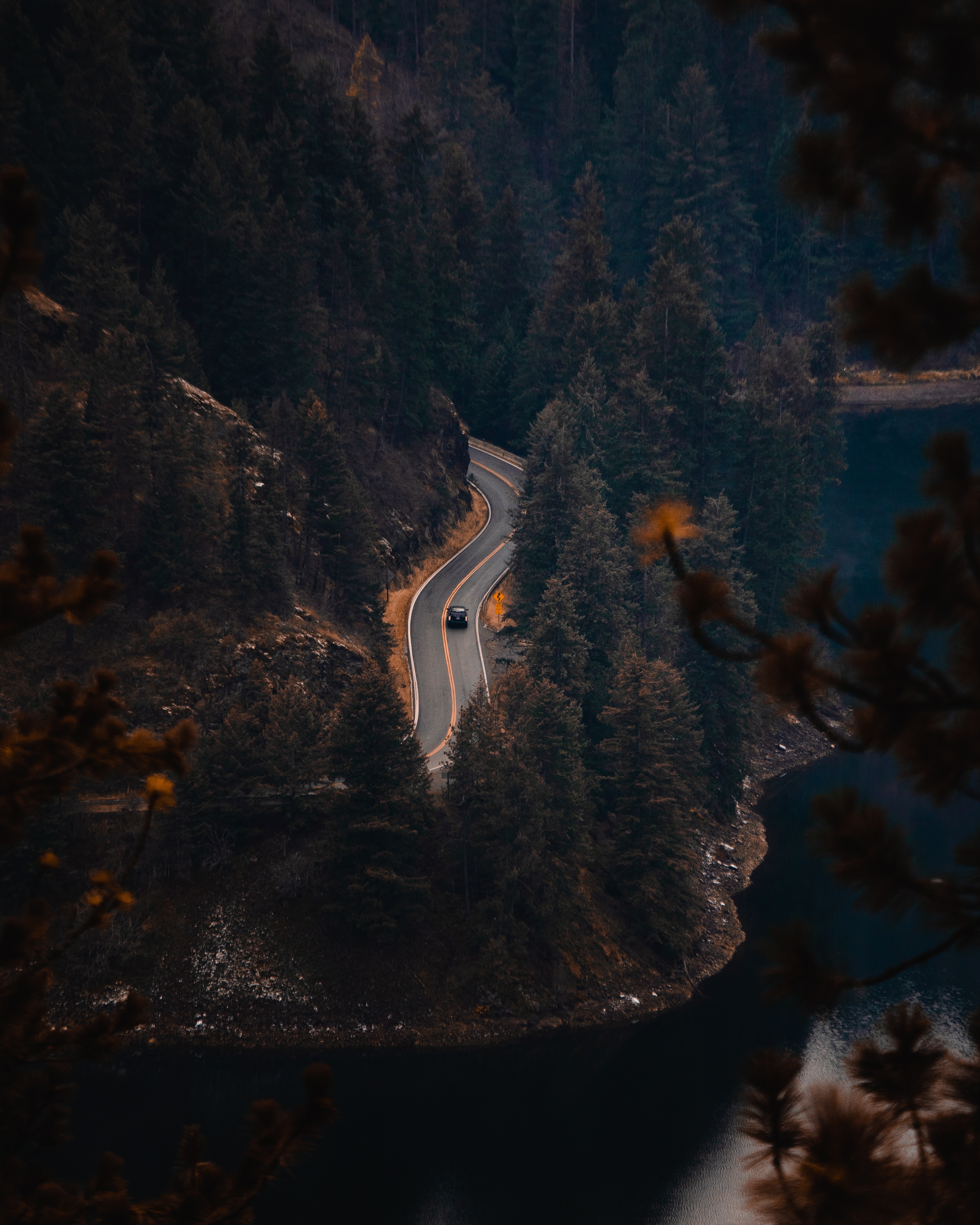 trees, nature, rivers, view from above, road