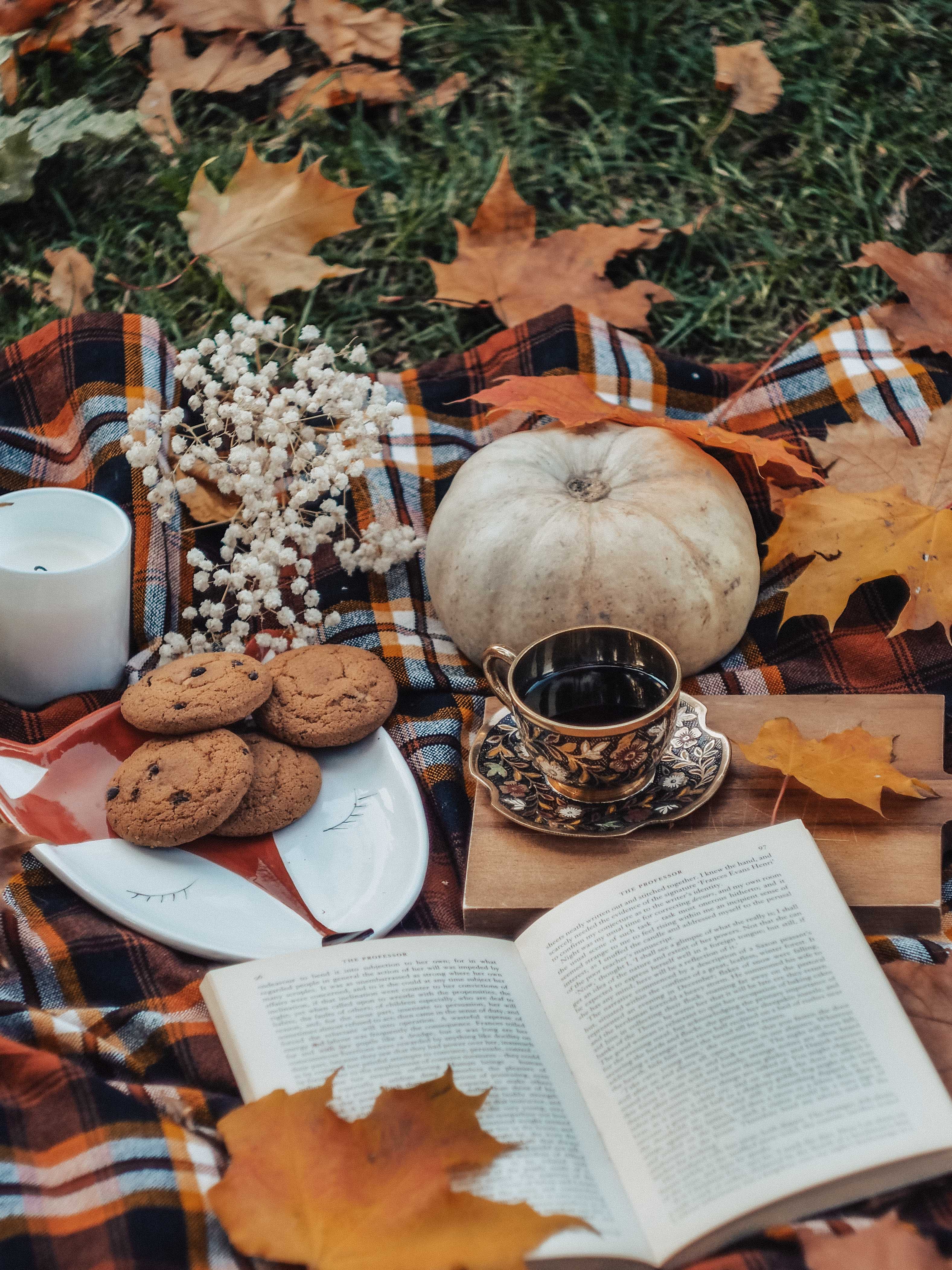 pumpkin, tea, autumn, leaves, cookies, miscellanea, miscellaneous, book cellphone