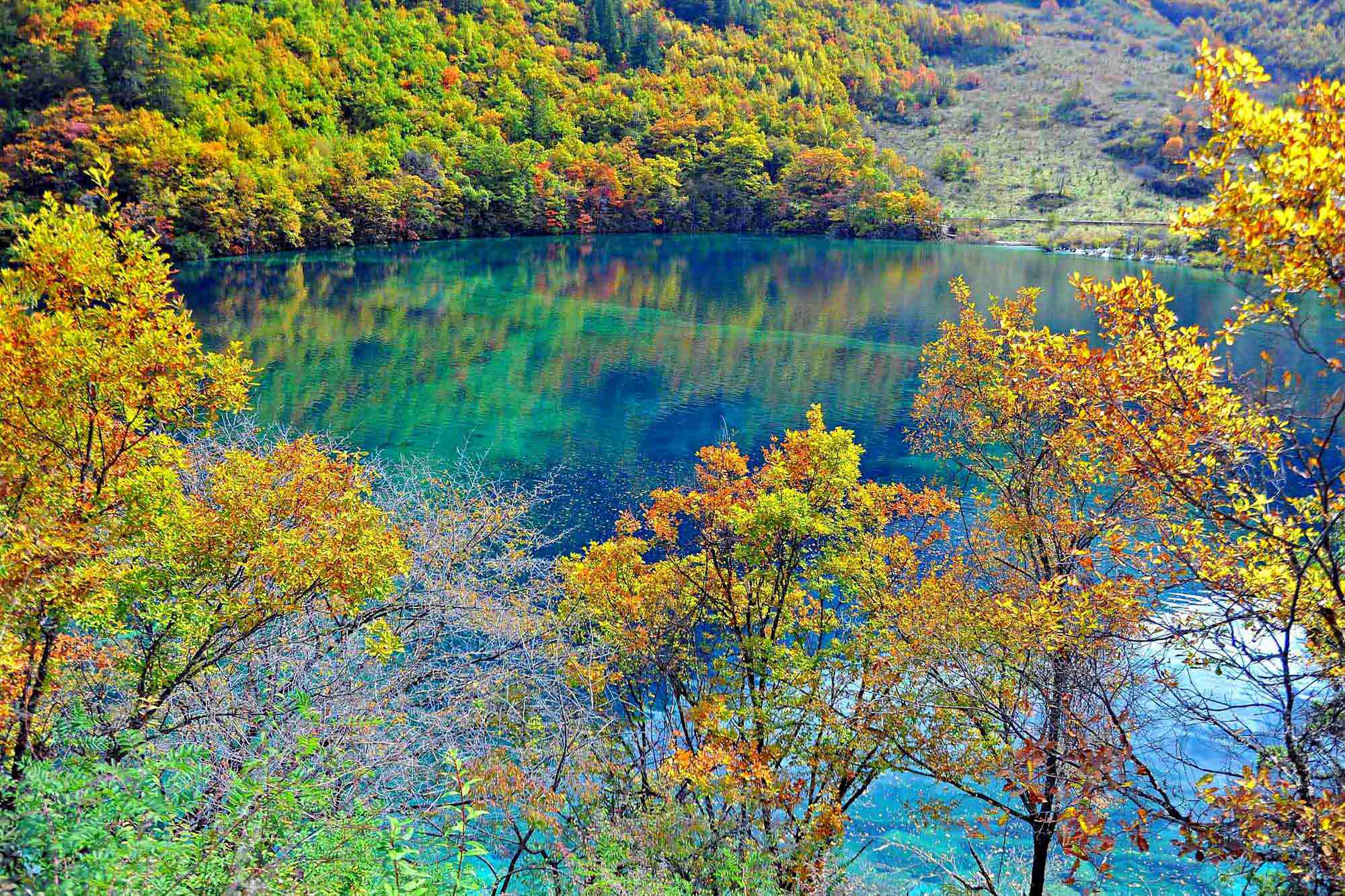 68004 Hintergrundbild herunterladen natur, china, kristalltürkiser see, crystal turquoise lake, jiuzhaigou-nationalpark, jujaigou-nationalpark - Bildschirmschoner und Bilder kostenlos