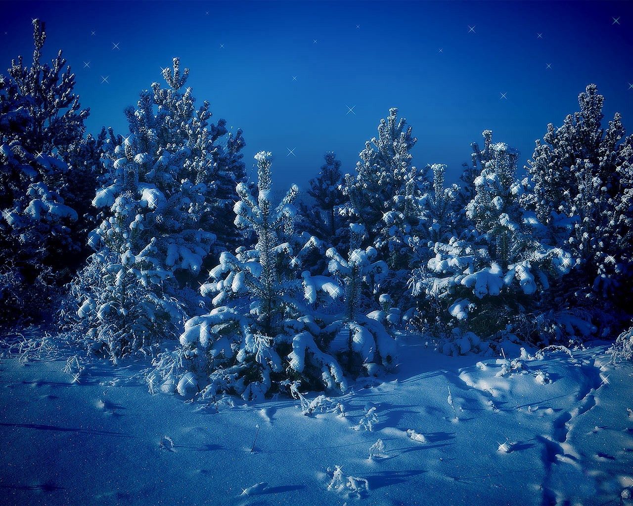 143010 Salvapantallas y fondos de pantalla Estrellas en tu teléfono. Descarga imágenes de pino, naturaleza, nieve, noche gratis