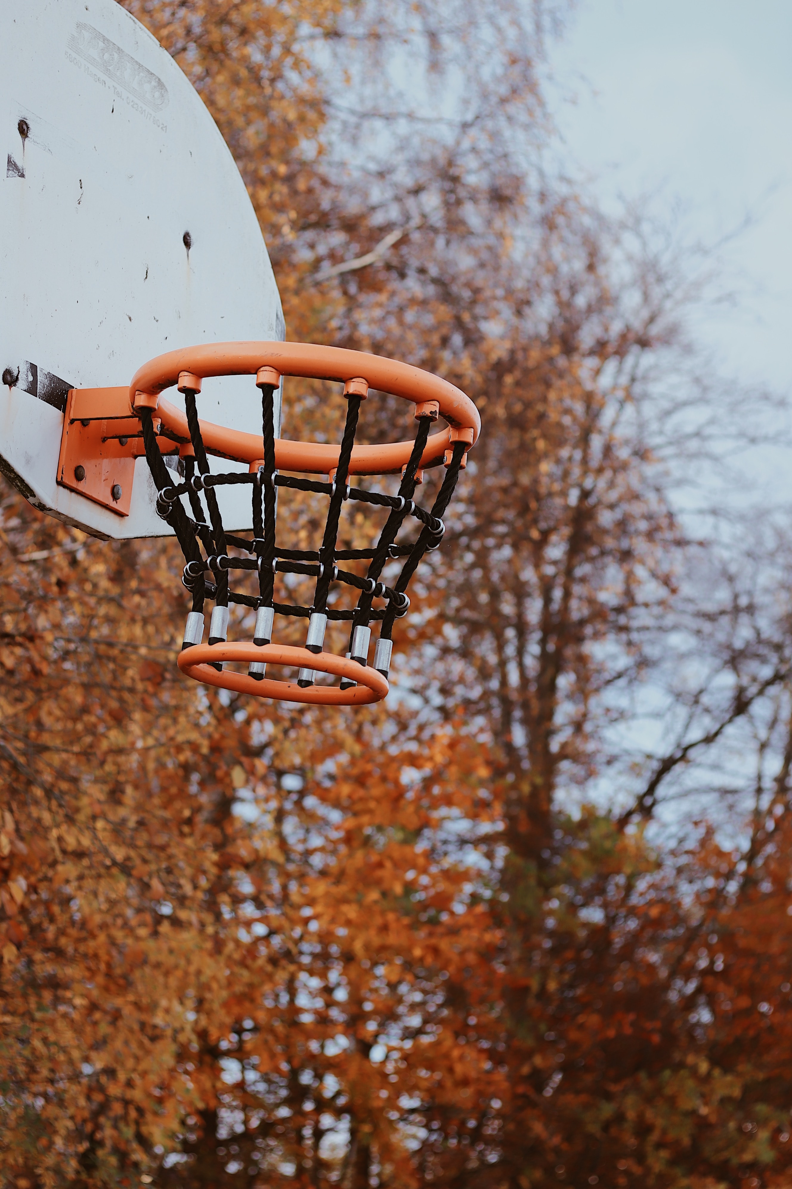 basketball, sports, grid, basket, basketball hoop, basketball ring