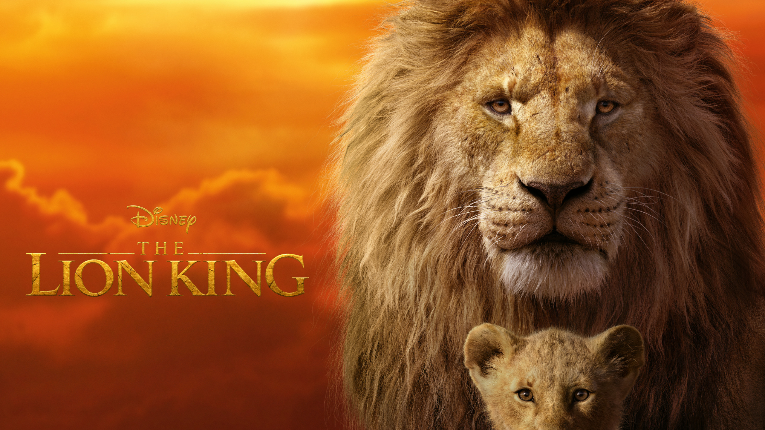 Free download wallpaper Movie, Mufasa (The Lion King), Simba, The Lion King...