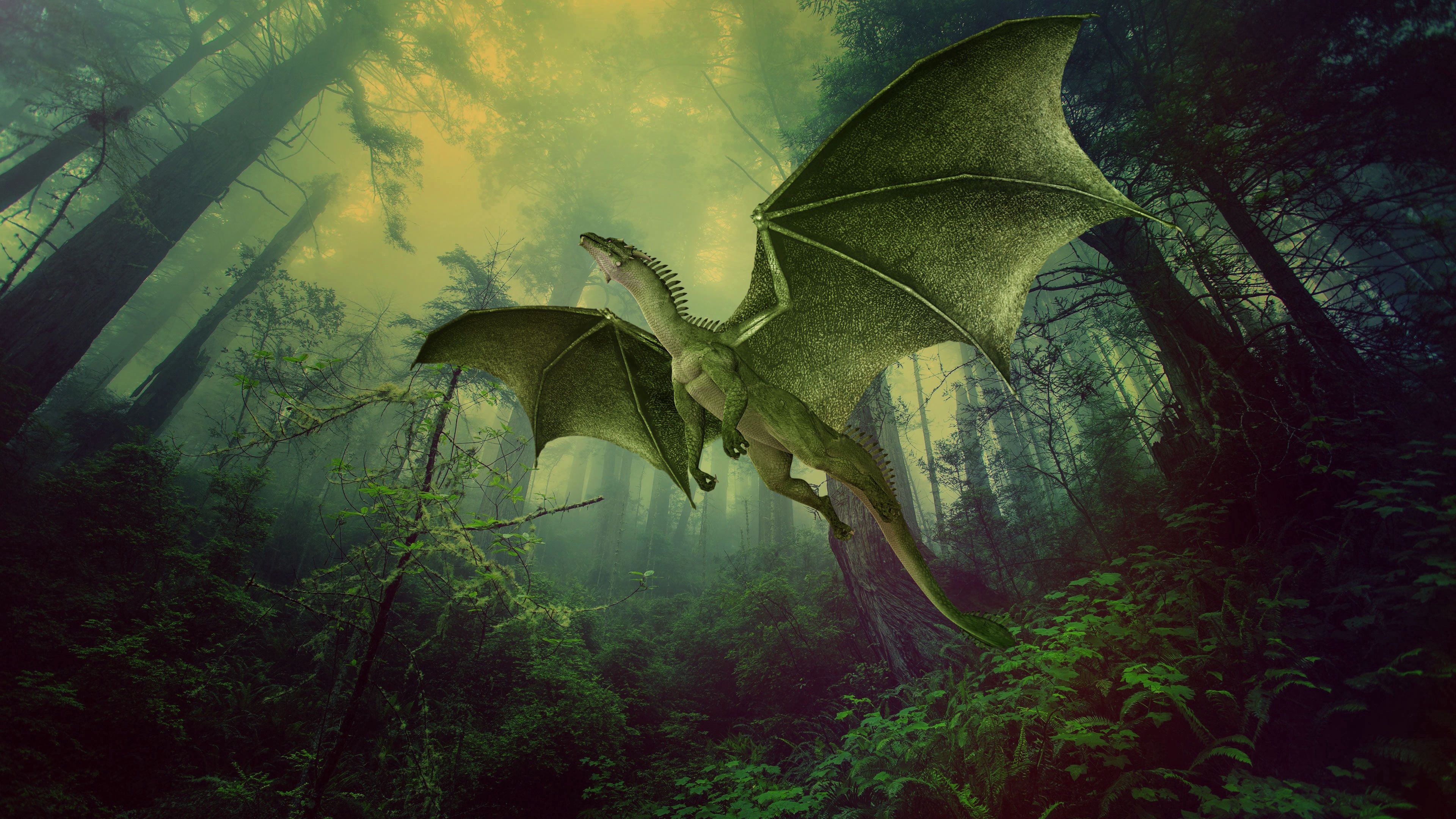 Cool Wallpapers fog, dragon, forest, photoshop