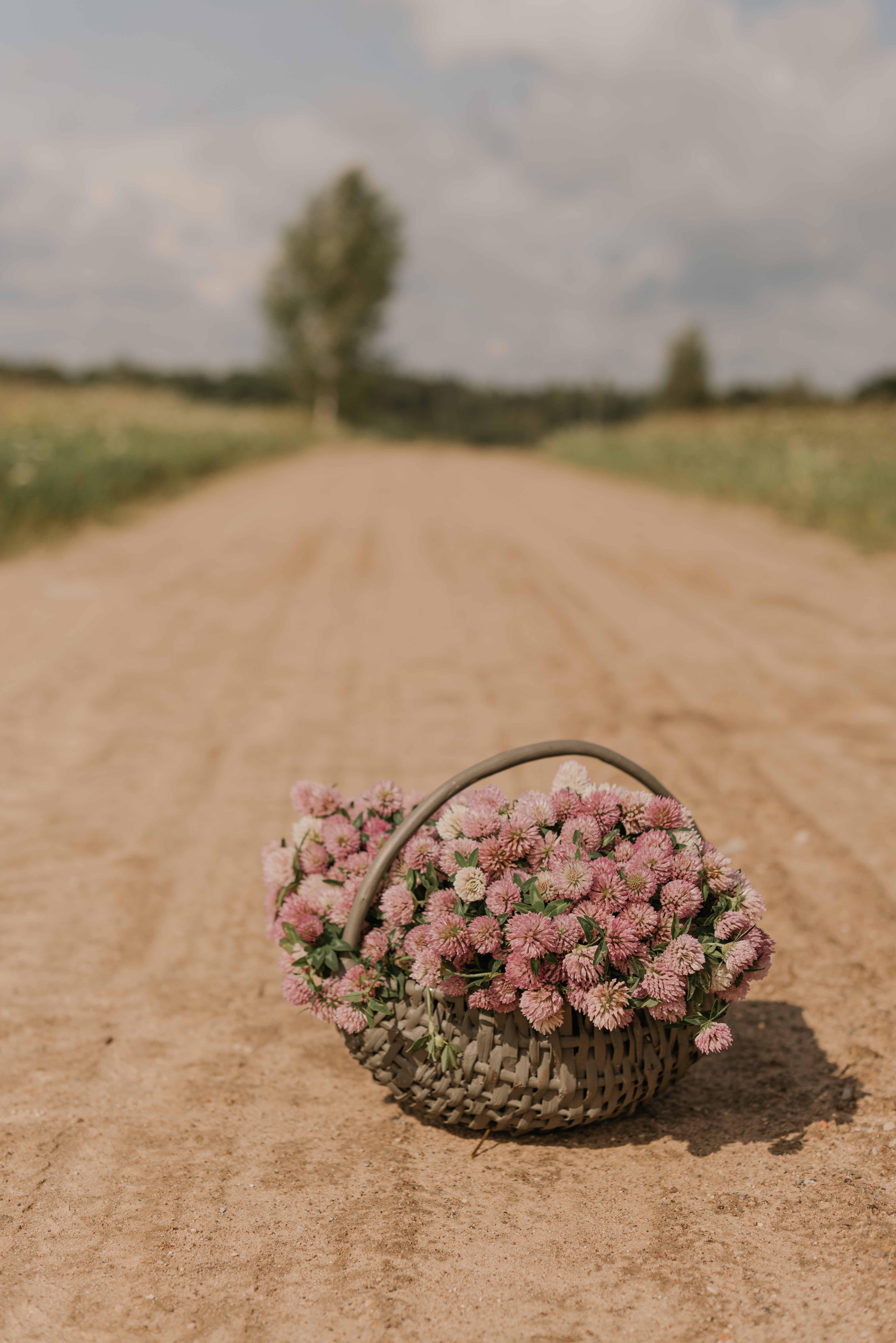 bouquet, basket, flowers, road, clover