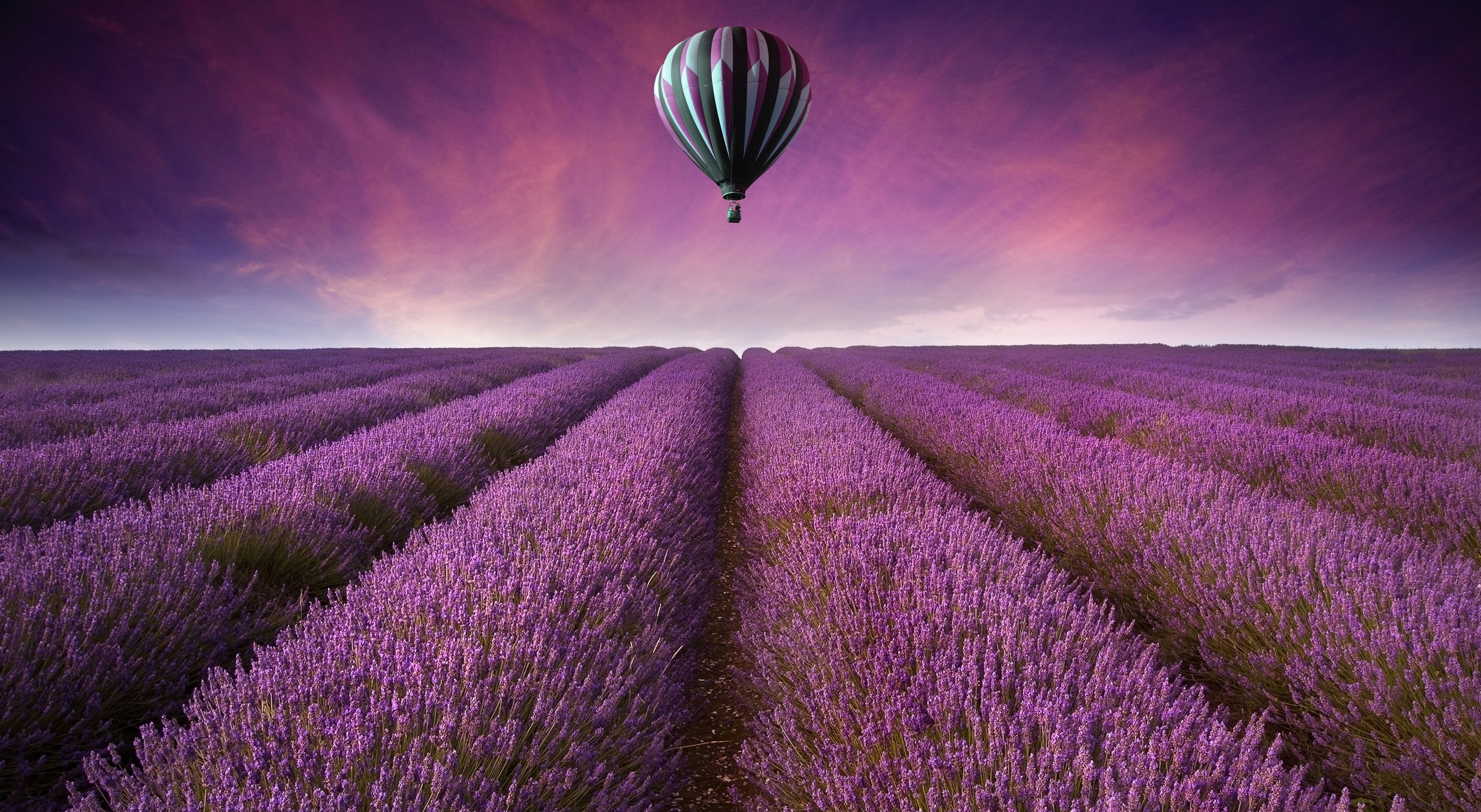 Cool Backgrounds  Lavender