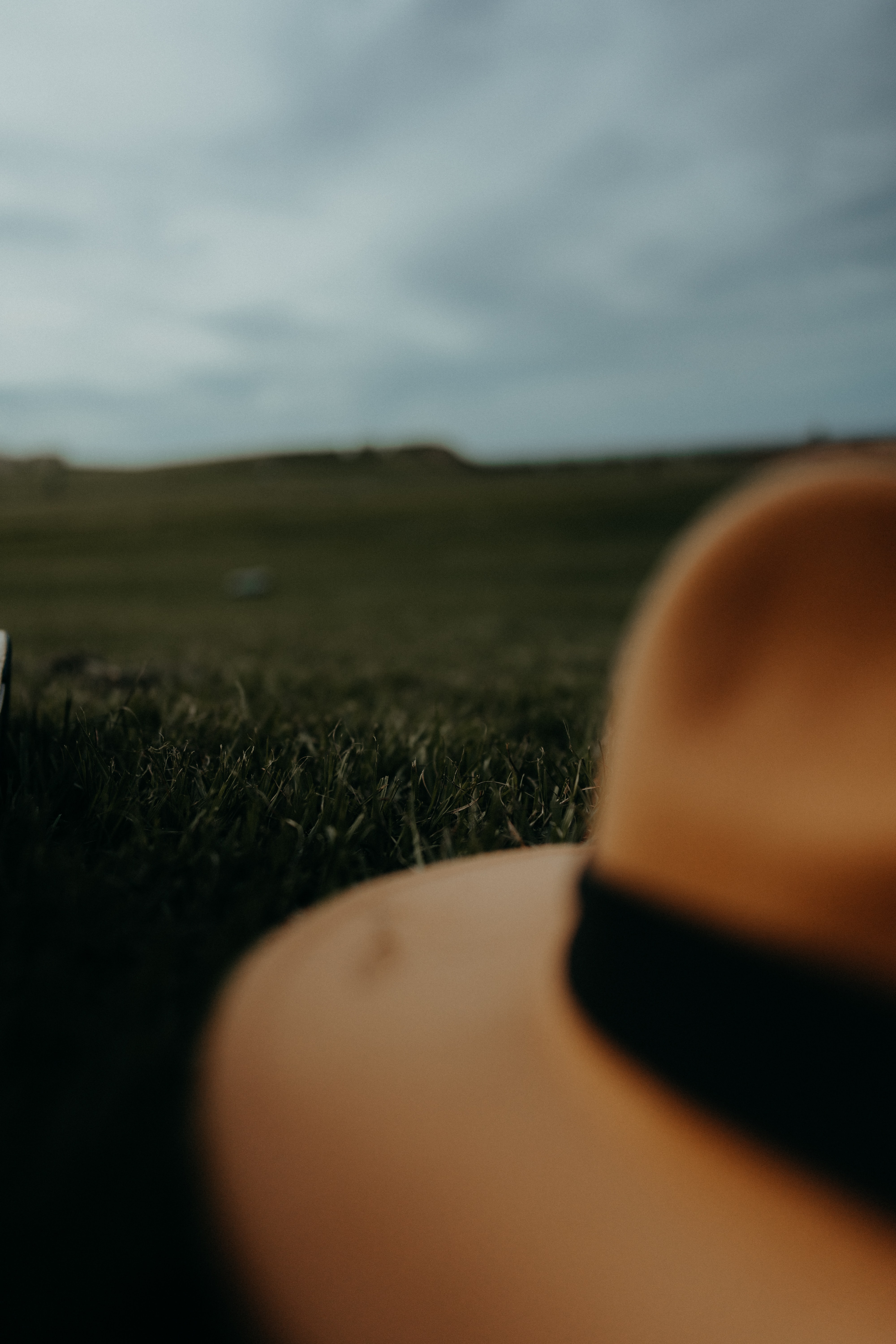 grass, miscellanea, miscellaneous, brown, lawn, hat for android