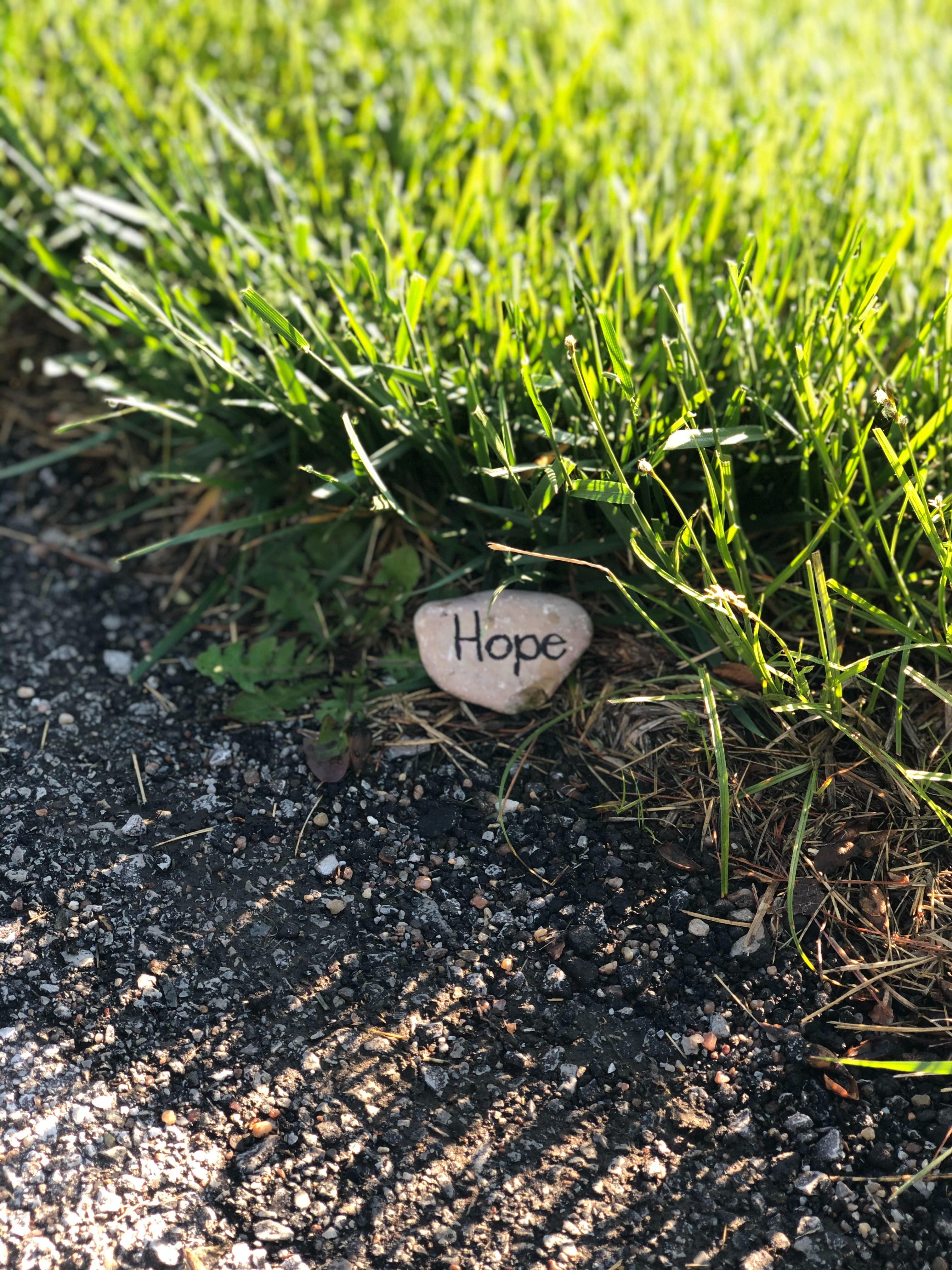 hope, grass, rock, words, stone, inscription