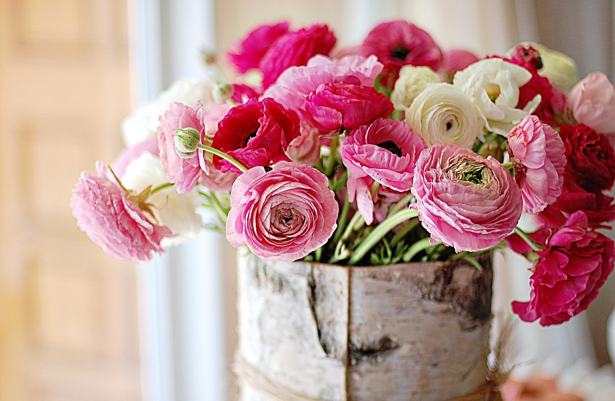 Laden Sie das Blumen, Strauß, Bouquet, Ranunkulus, Ranunkel, Birkenrinde, Beresta-Bild kostenlos auf Ihren PC-Desktop herunter