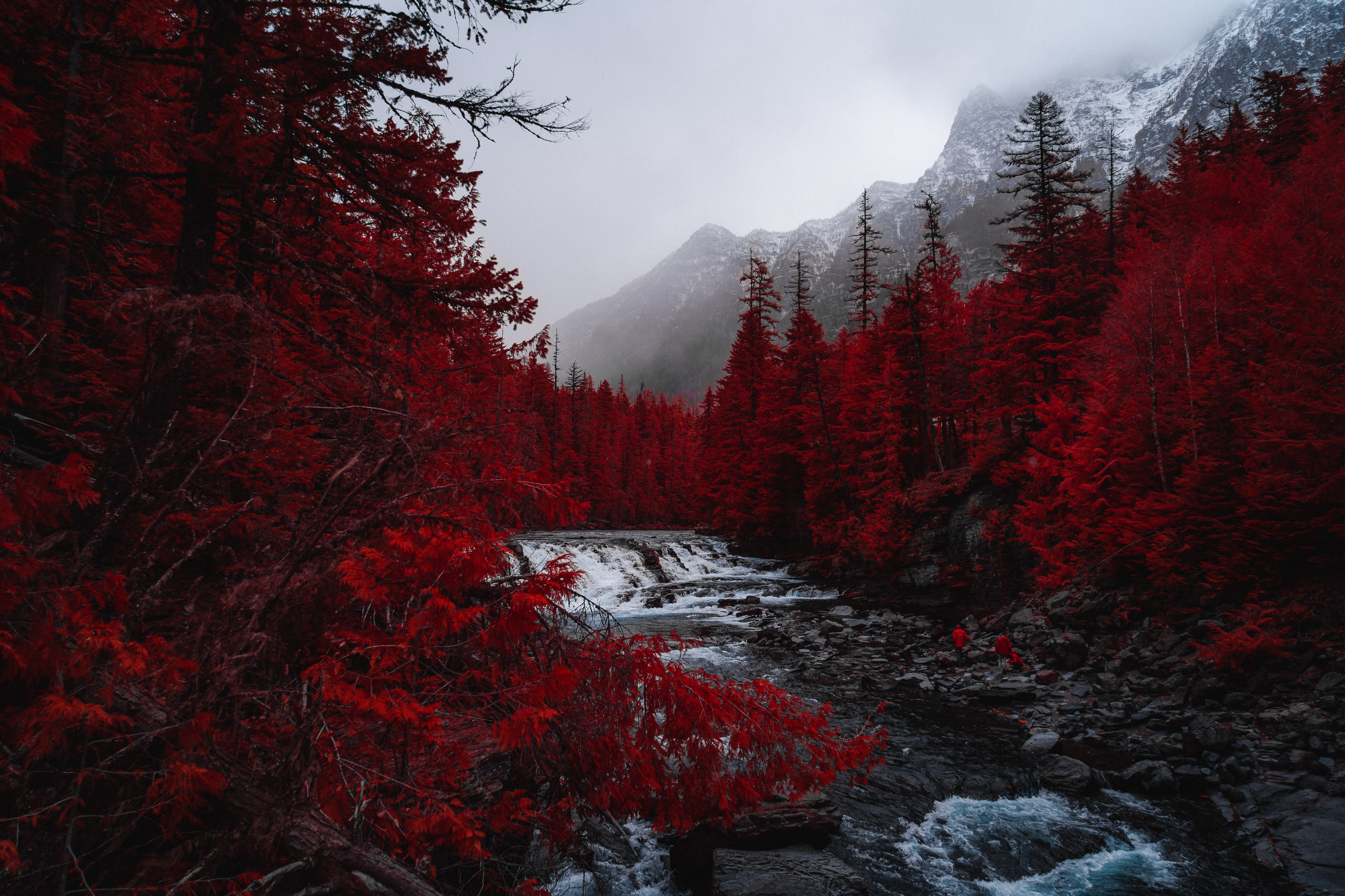 151680 скачать обои красный, туман, горы, река, пейзаж, природа, деревья - заставки и картинки бесплатно