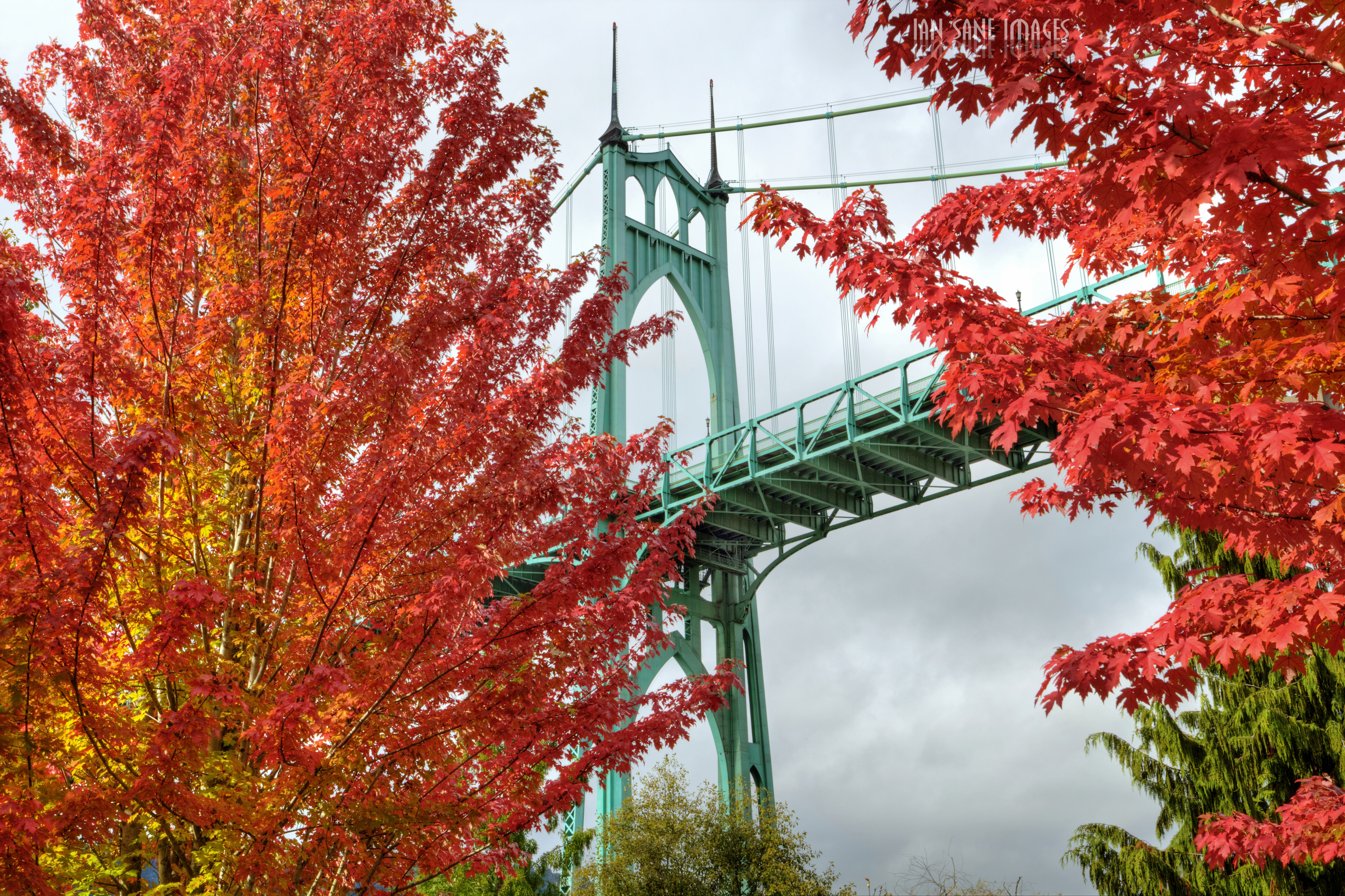 cities, trees, autumn, bright, bridge, oregon, portland HD wallpaper