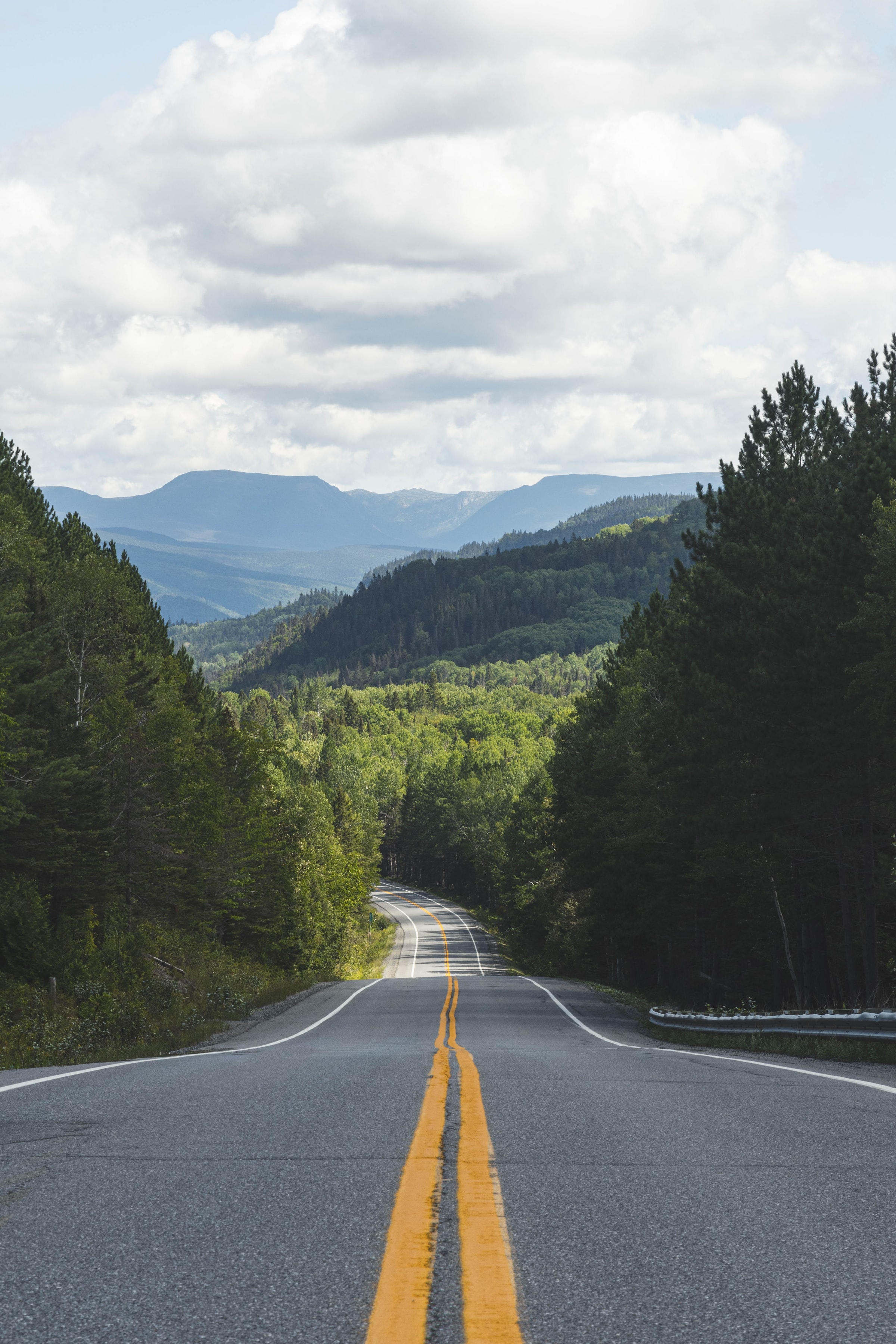 nature, trees, mountains, road, markup, dahl, distance