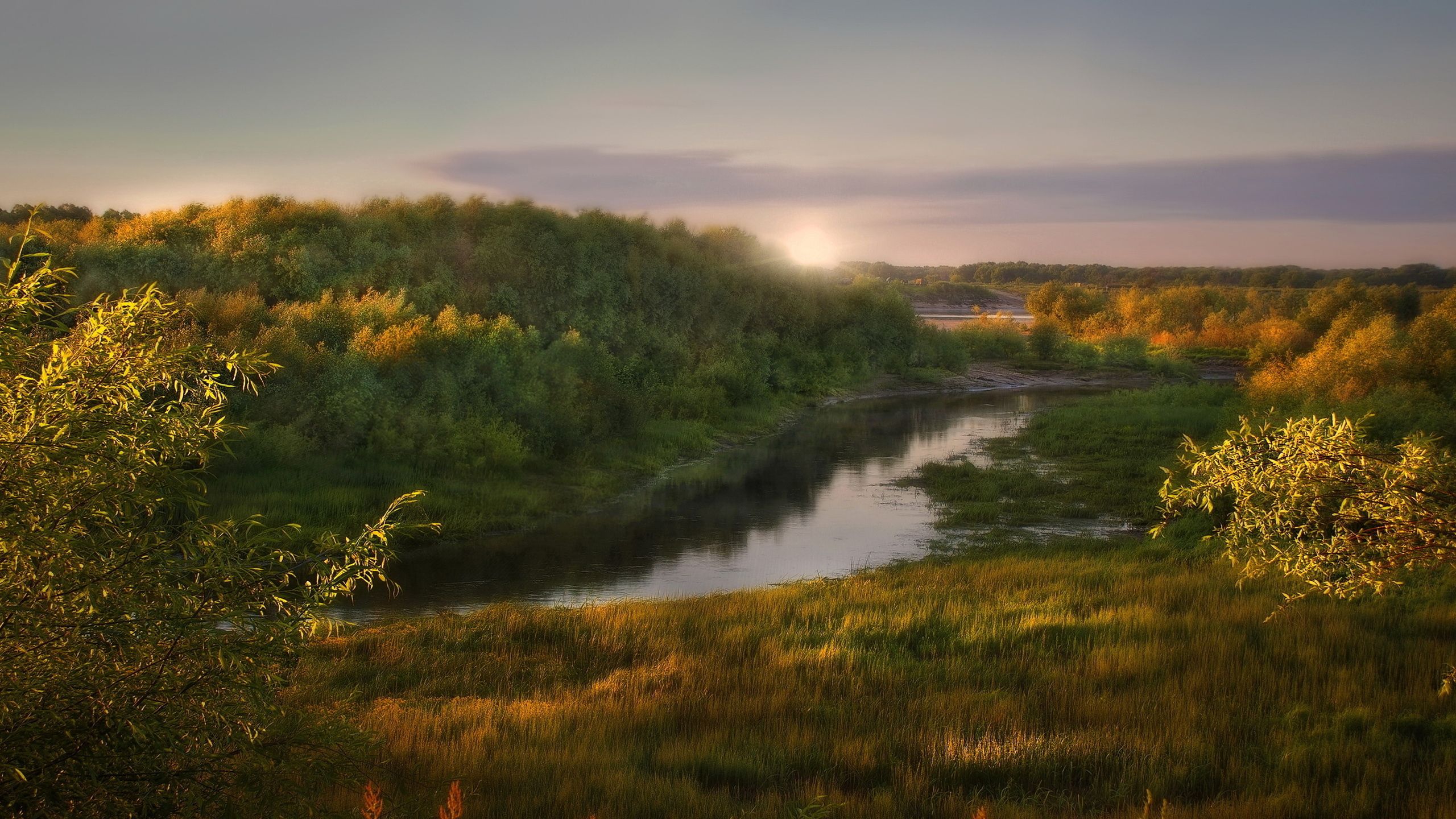 81081 Hintergrundbilder und Die Ufer Bilder auf dem Desktop. Laden Sie natur, bäume, licht, morgen Bildschirmschoner kostenlos auf den PC herunter