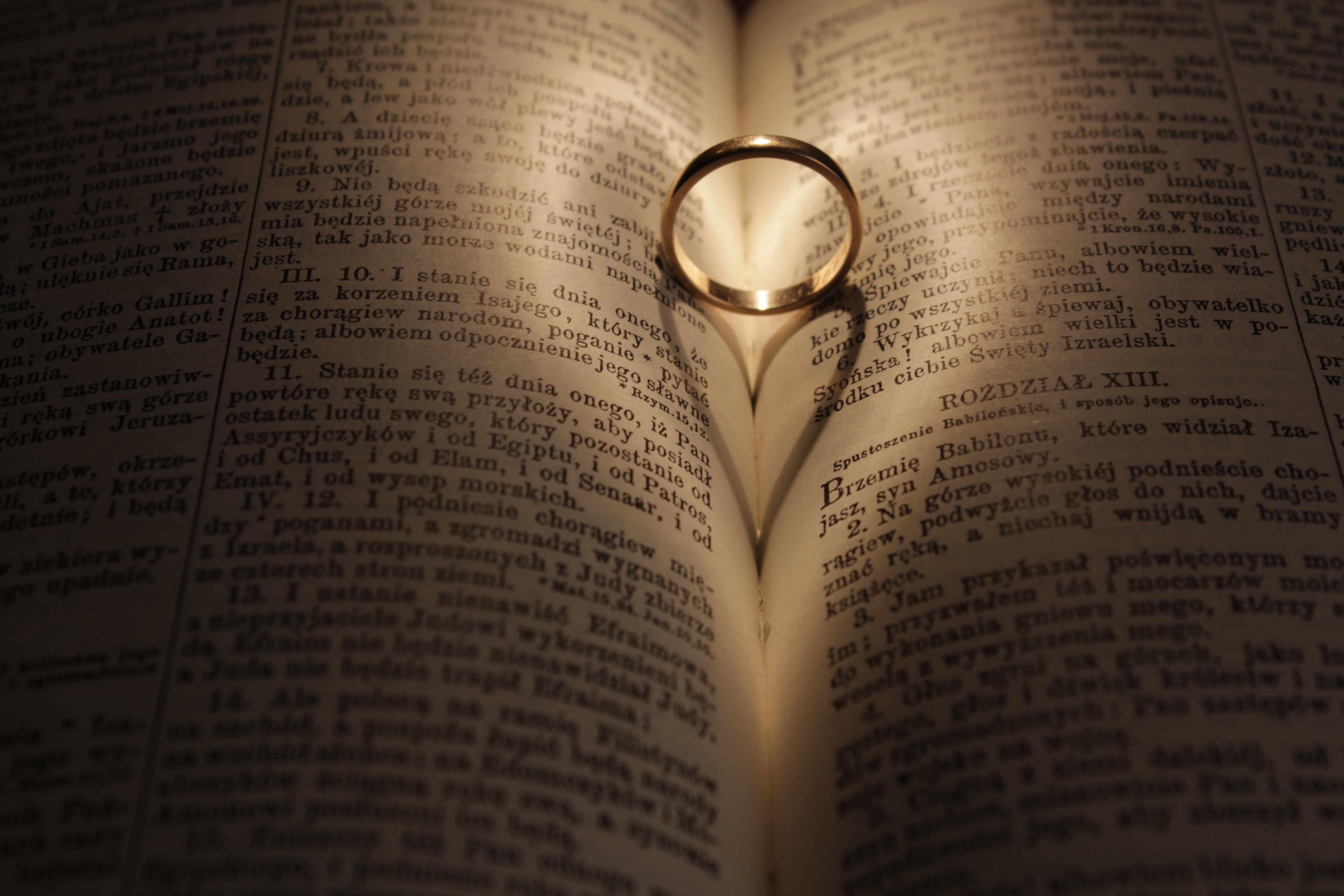 wedding, love, ring, book