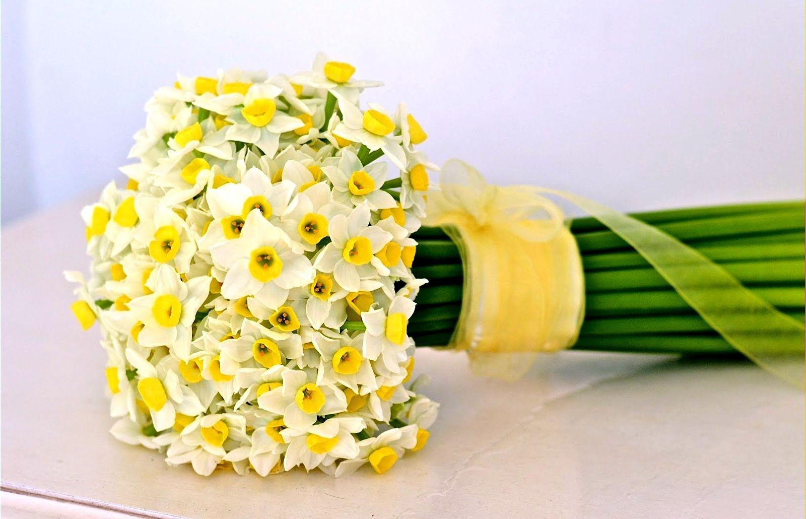 Laden Sie das Blumen, Narzissen, Bouquet, Strauß, Bogen, Band-Bild kostenlos auf Ihren PC-Desktop herunter