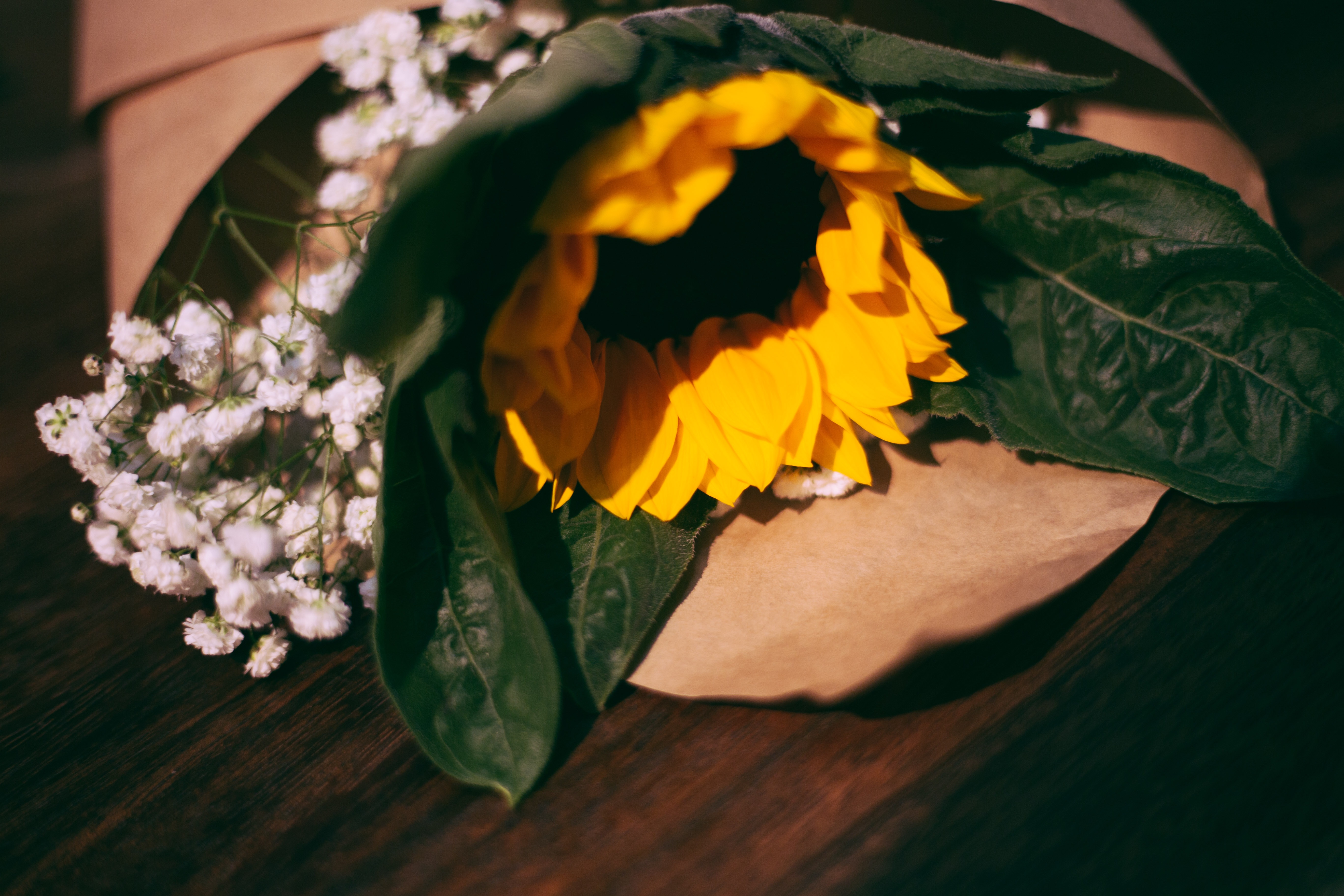 156510 Hintergrundbilder und Sonnenblume Bilder auf dem Desktop. Laden Sie bouquet, komposition, strauß, blumen Bildschirmschoner kostenlos auf den PC herunter
