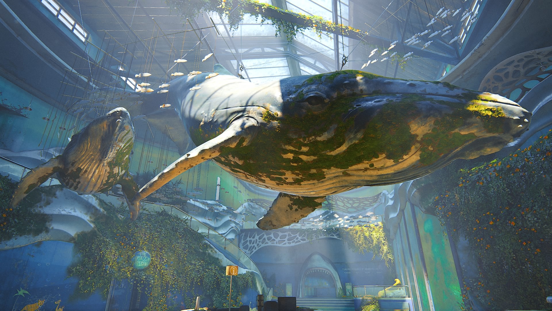 Aquarium  4k Wallpaper