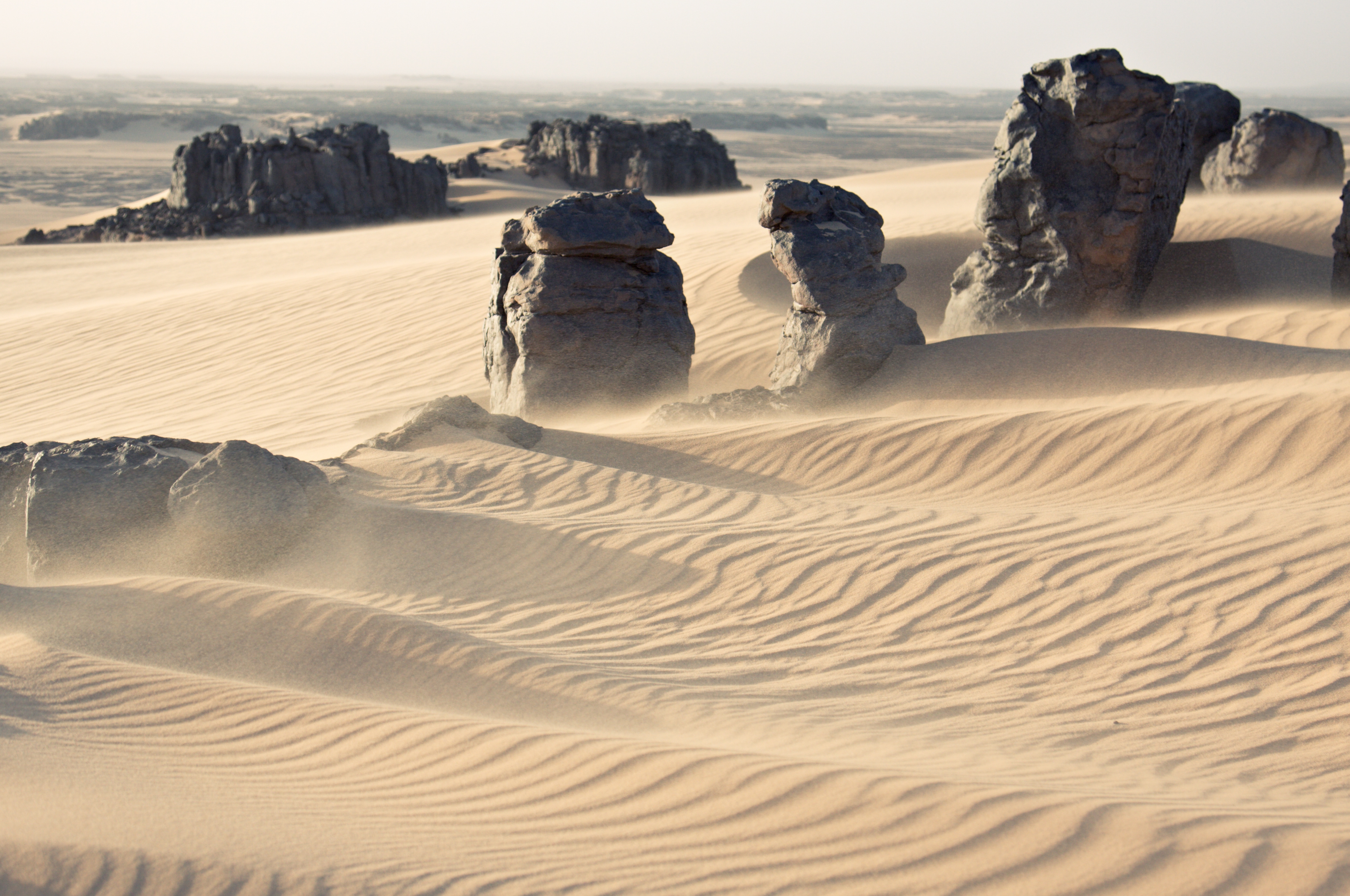earth, desert, africa, algeria, dune, dust, landscape, sahara, sand, tassili n'ajjer, wind