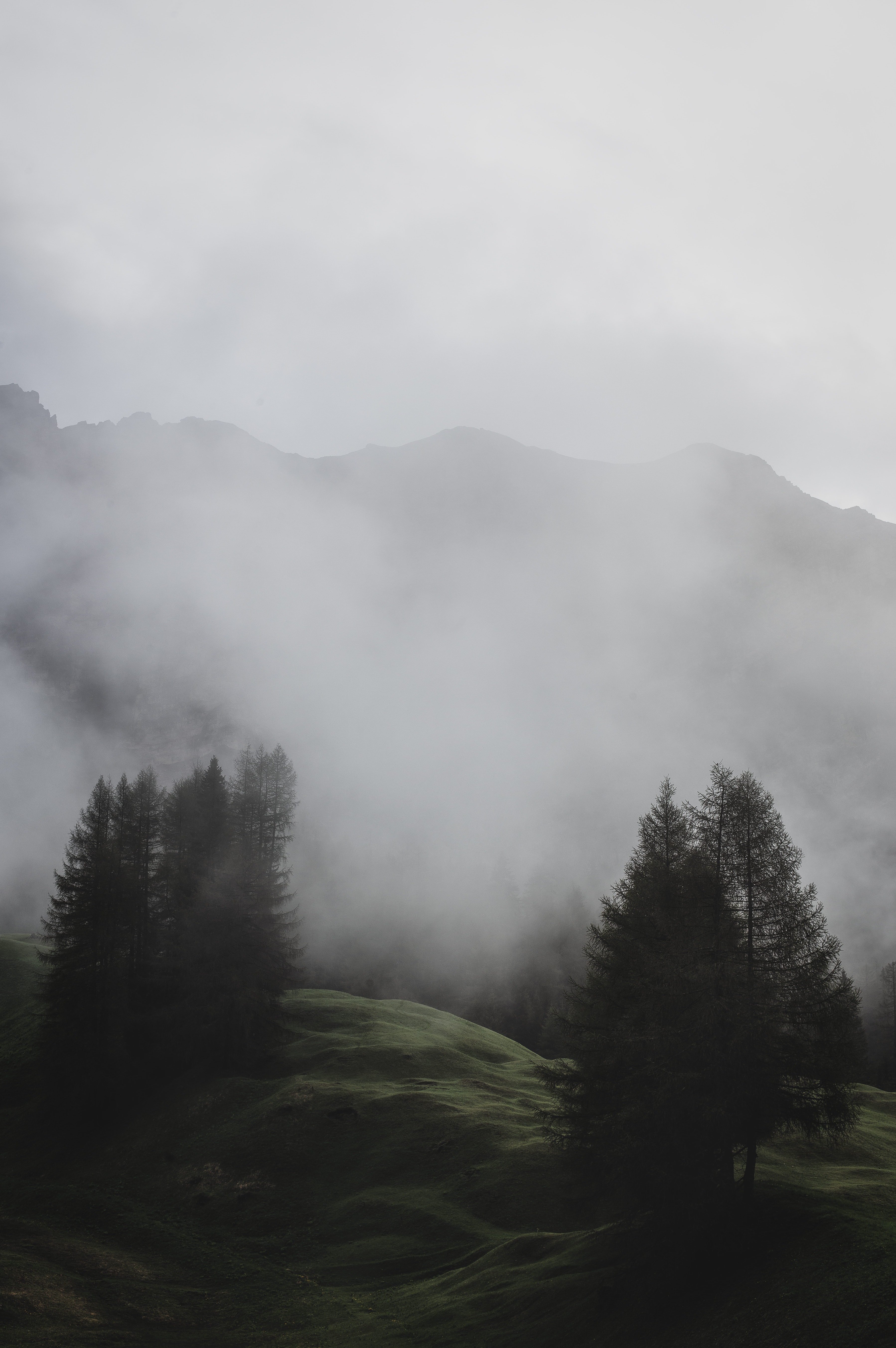 131664 Bildschirmschoner und Hintergrundbilder Italien auf Ihrem Telefon. Laden Sie wiese, nebel, mountains, bäume Bilder kostenlos herunter