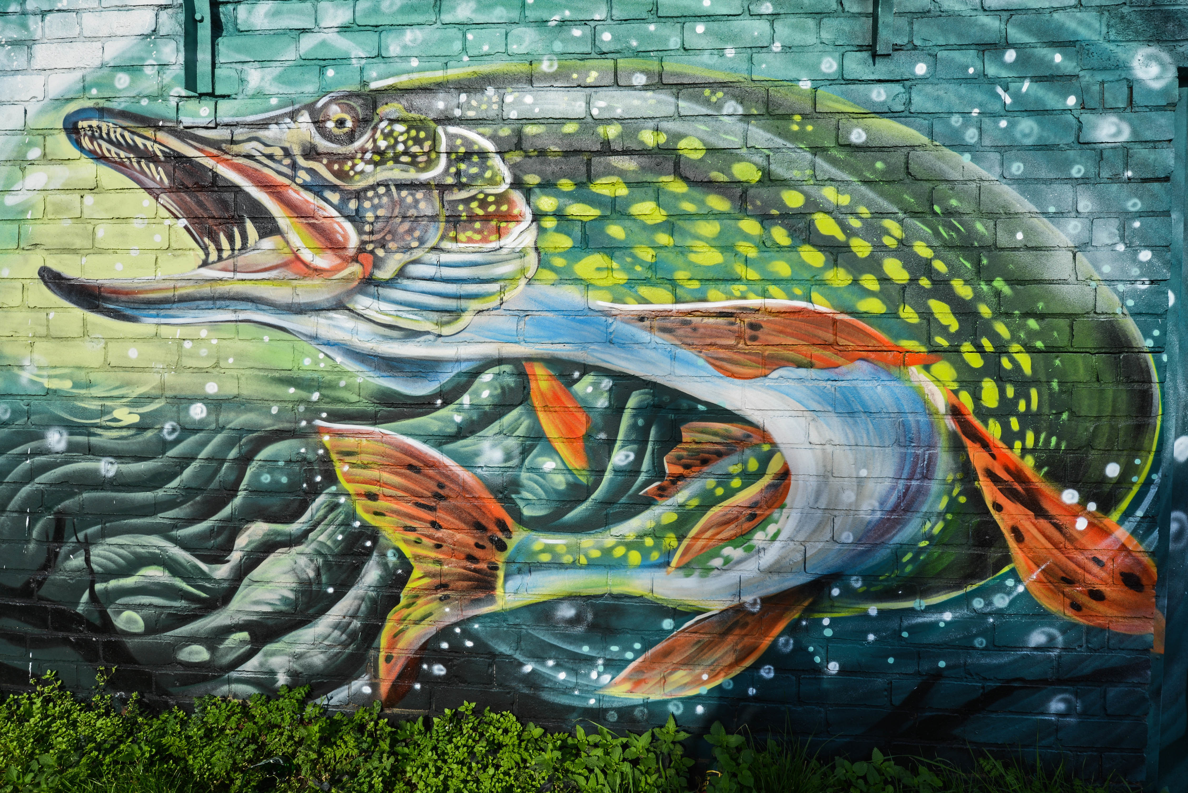 3d Image brick, graffiti, fish, artistic