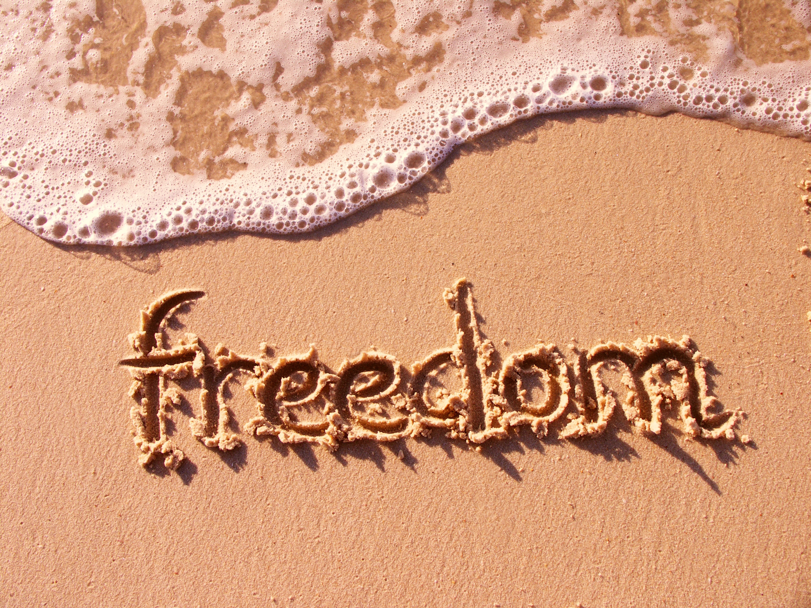freedom, inscription, words, water, sand, shore, bank, foam 8K